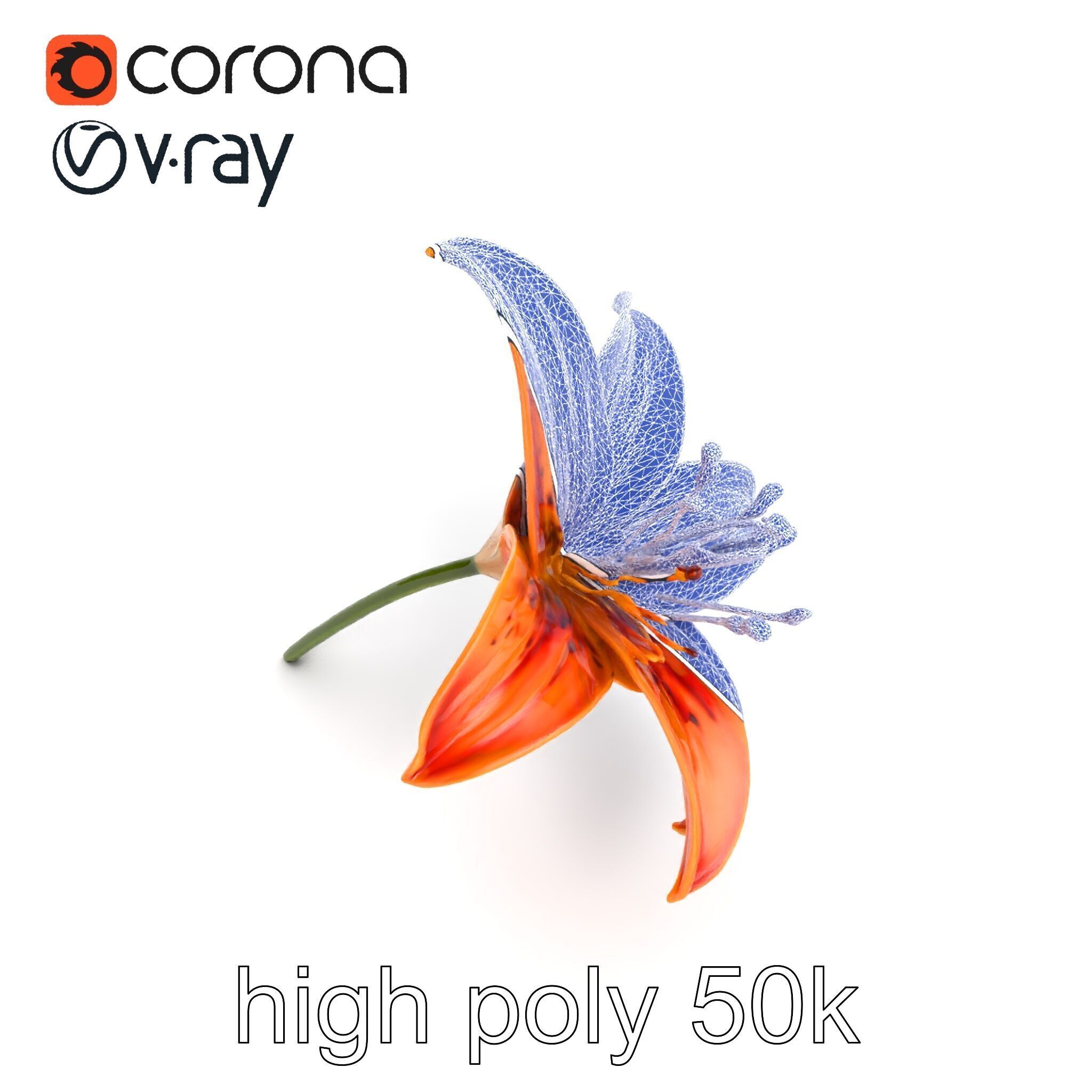 Tiger Lily Flower Realistic Model Pack Low-poly 3D model_19