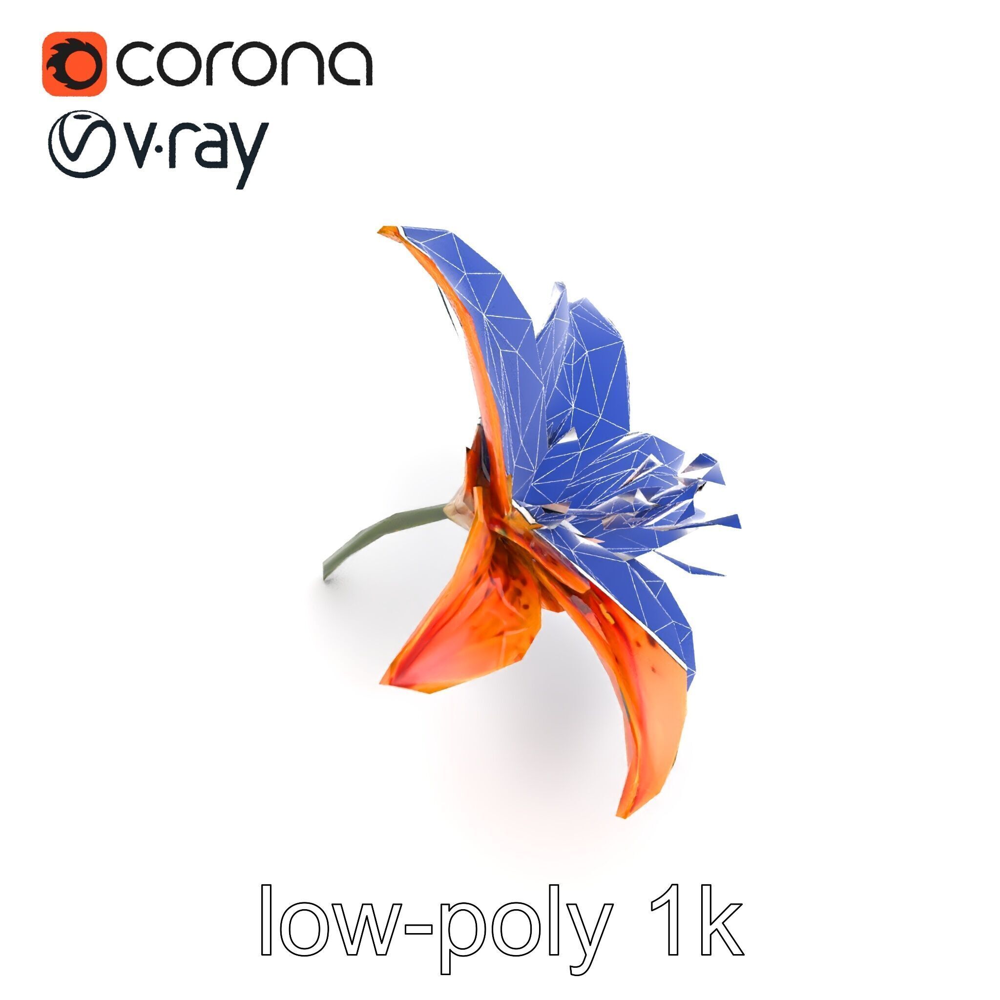 Tiger Lily Flower Realistic Model Pack Low-poly 3D model_14