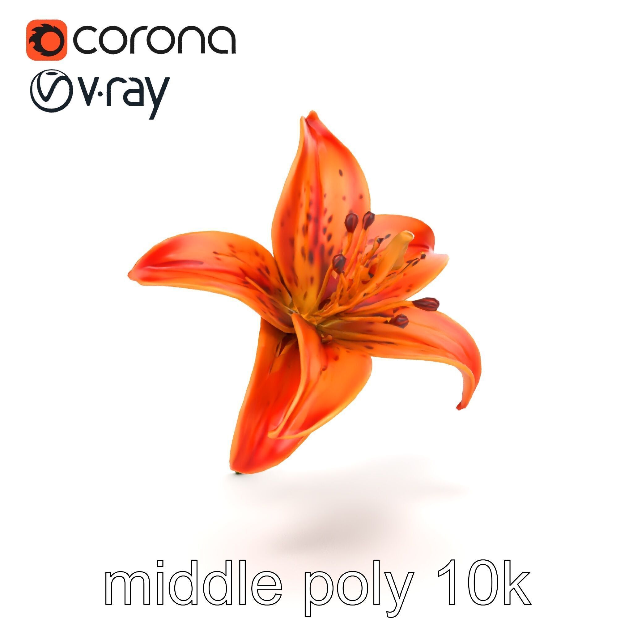 Tiger Lily Flower Realistic Model Pack Low-poly 3D model_23