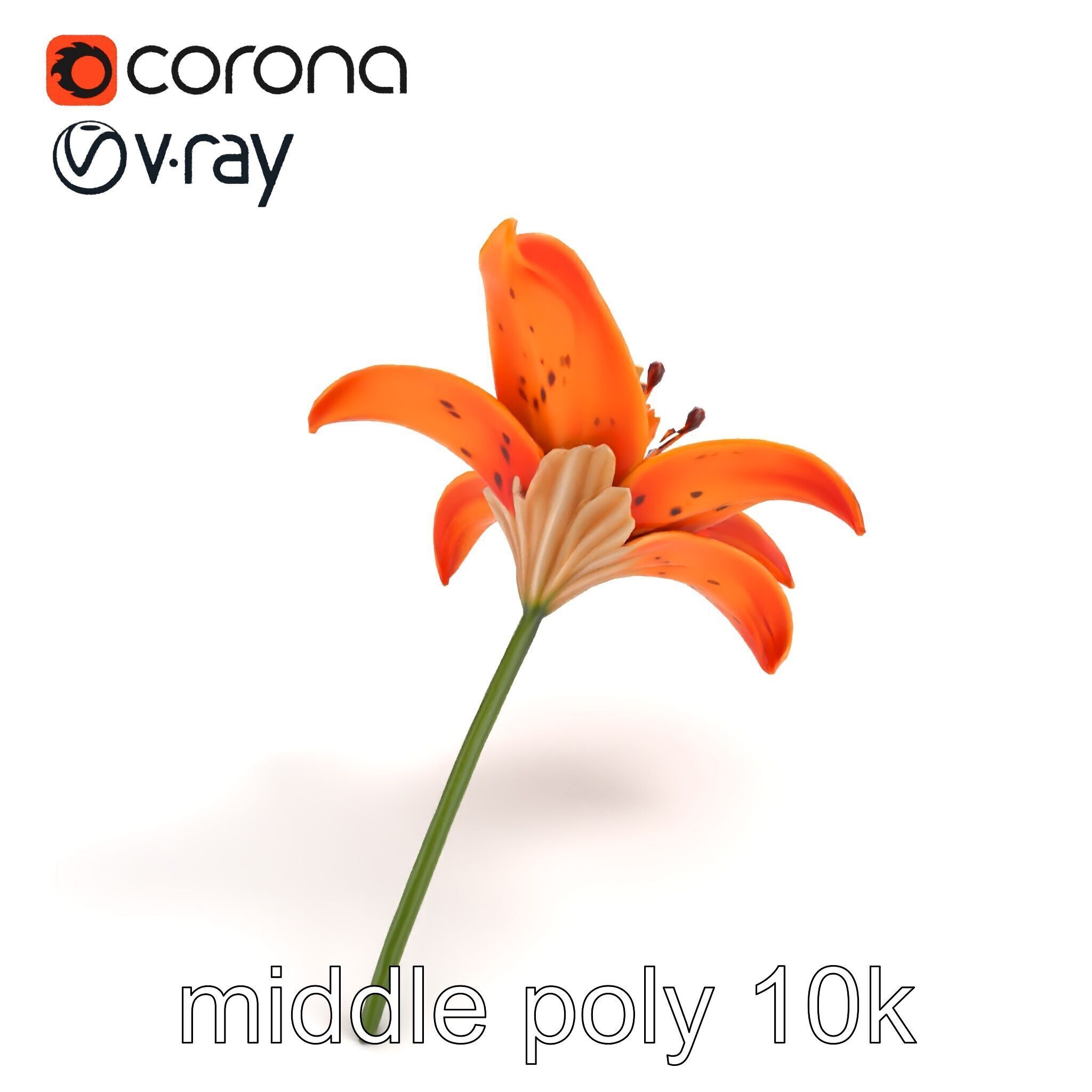 Tiger Lily Flower Realistic Model Pack Low-poly 3D model_7