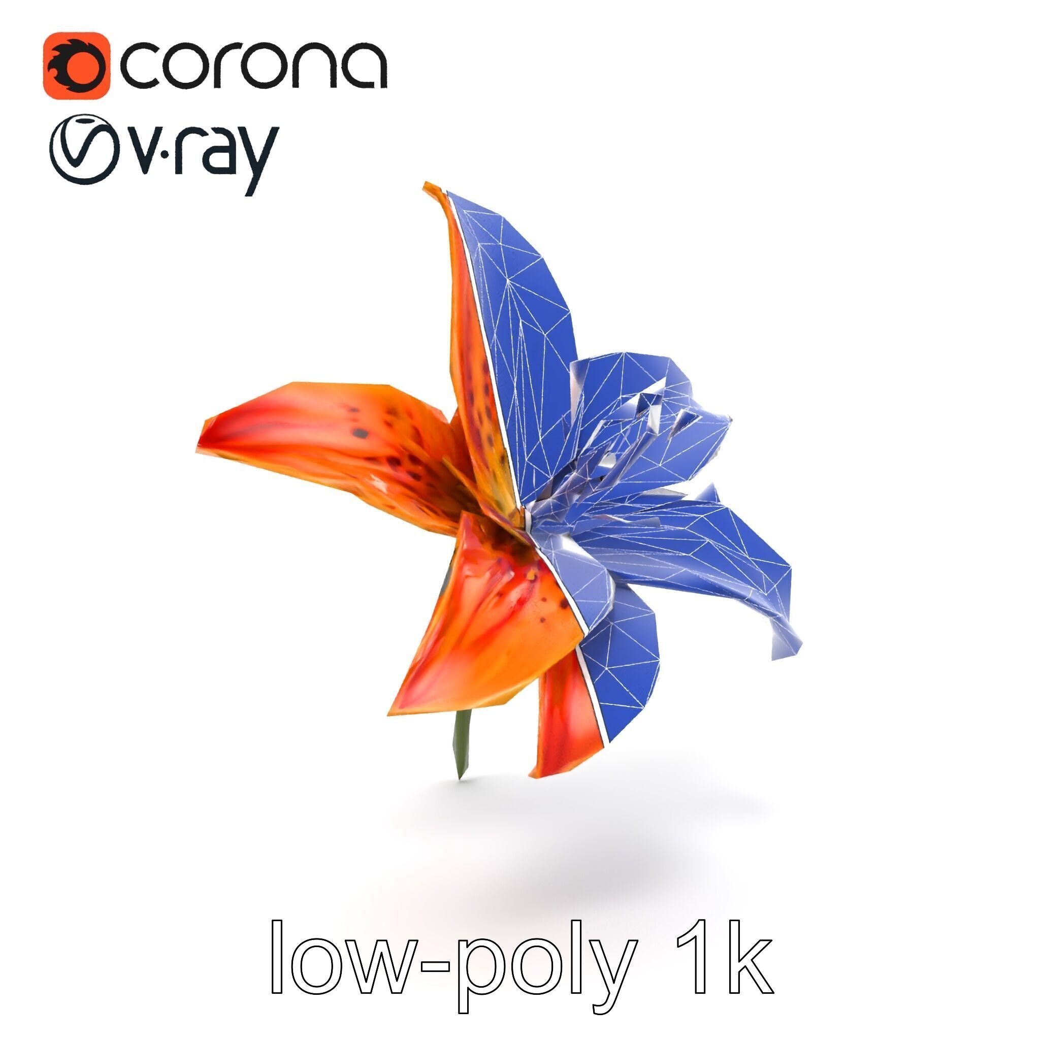 Tiger Lily Flower Realistic Model Pack Low-poly 3D model_21