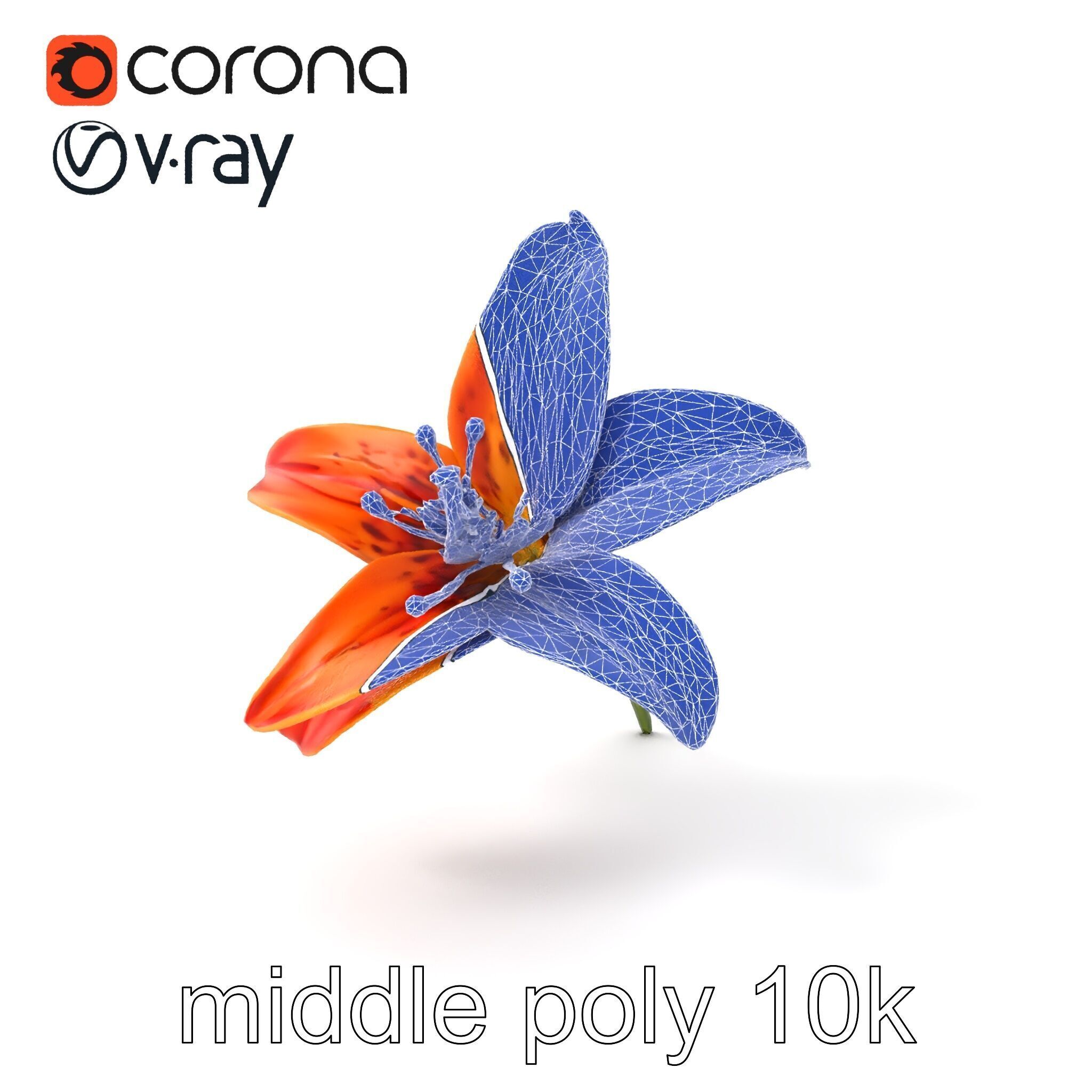 Tiger Lily Flower Realistic Model Pack Low-poly 3D model_5
