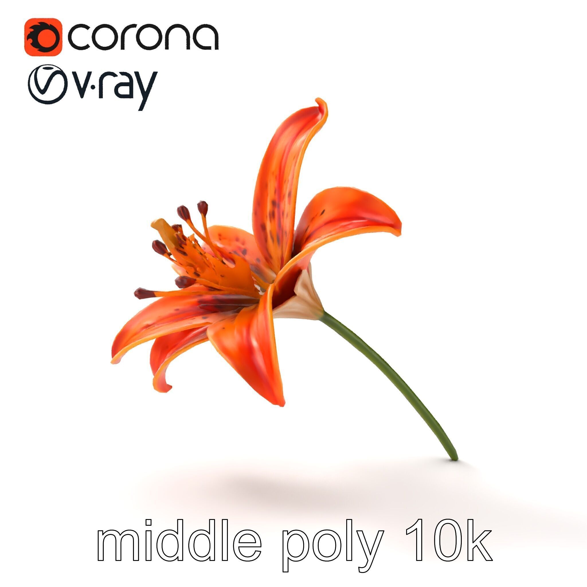 Tiger Lily Flower Realistic Model Pack Low-poly 3D model_12
