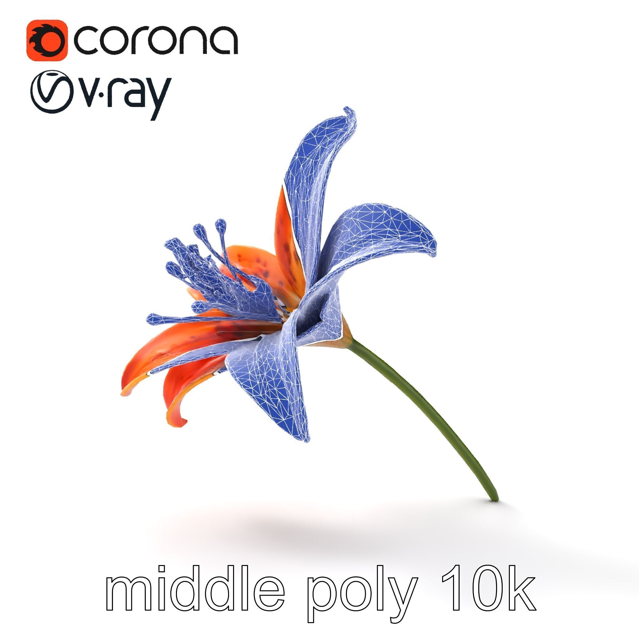Tiger Lily Flower Realistic Model Pack Low-poly 3D model_27