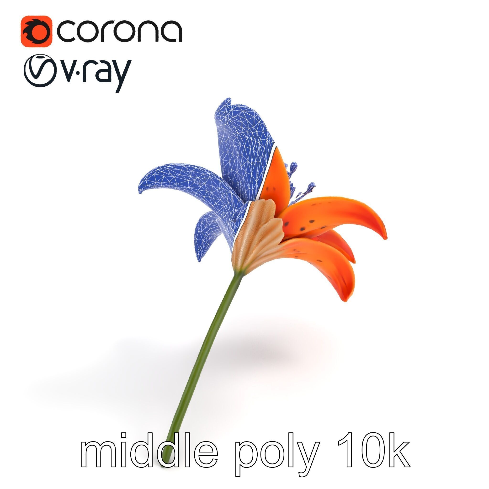 Tiger Lily Flower Realistic Model Pack Low-poly 3D model_10