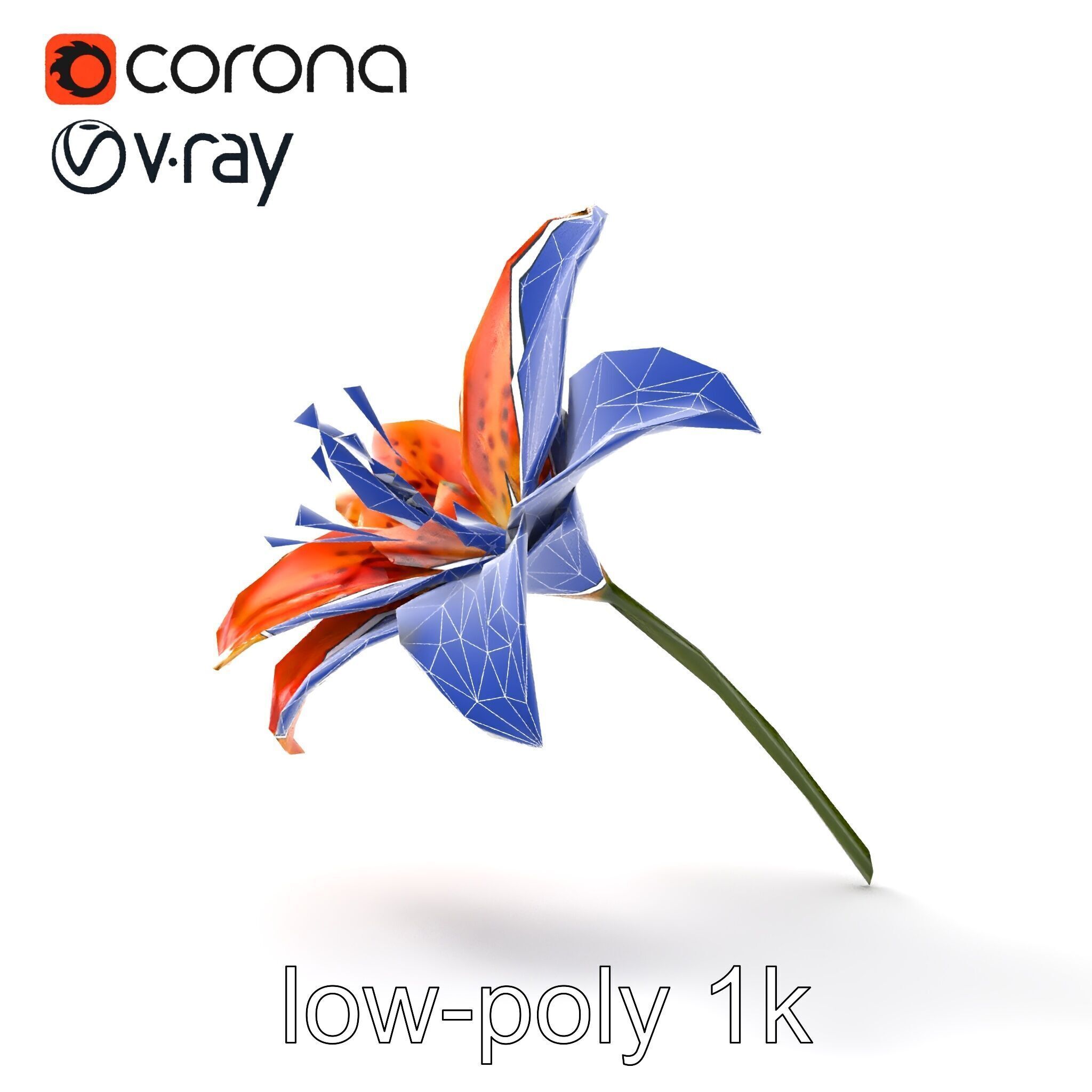 Tiger Lily Flower Realistic Model Pack Low-poly 3D model_11