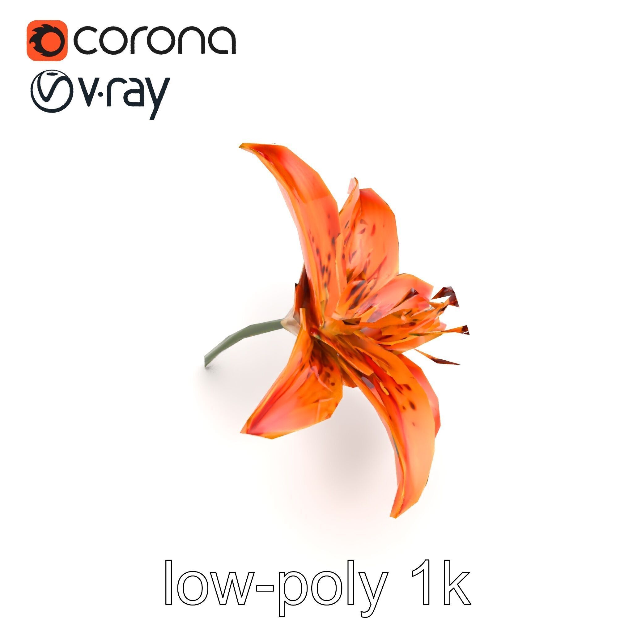 Tiger Lily Flower Realistic Model Pack Low-poly 3D model_25