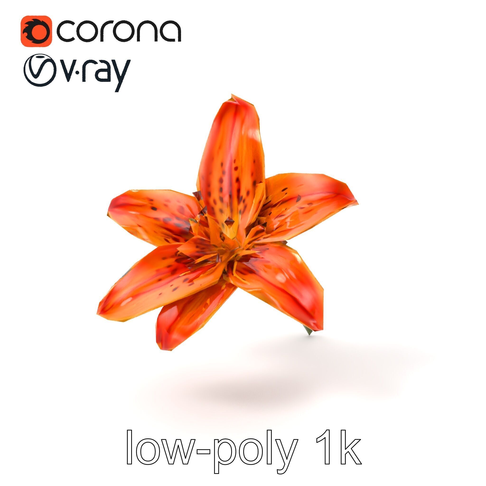 Tiger Lily Flower Realistic Model Pack Low-poly 3D model_4