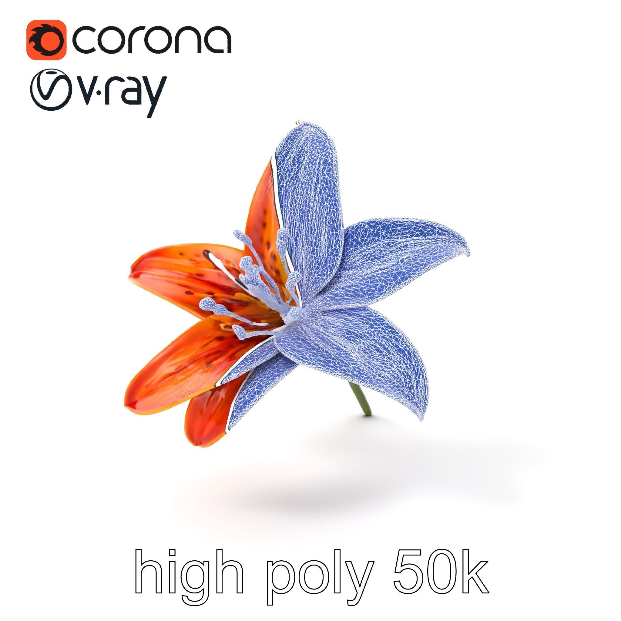 Tiger Lily Flower Realistic Model Pack Low-poly 3D model_1