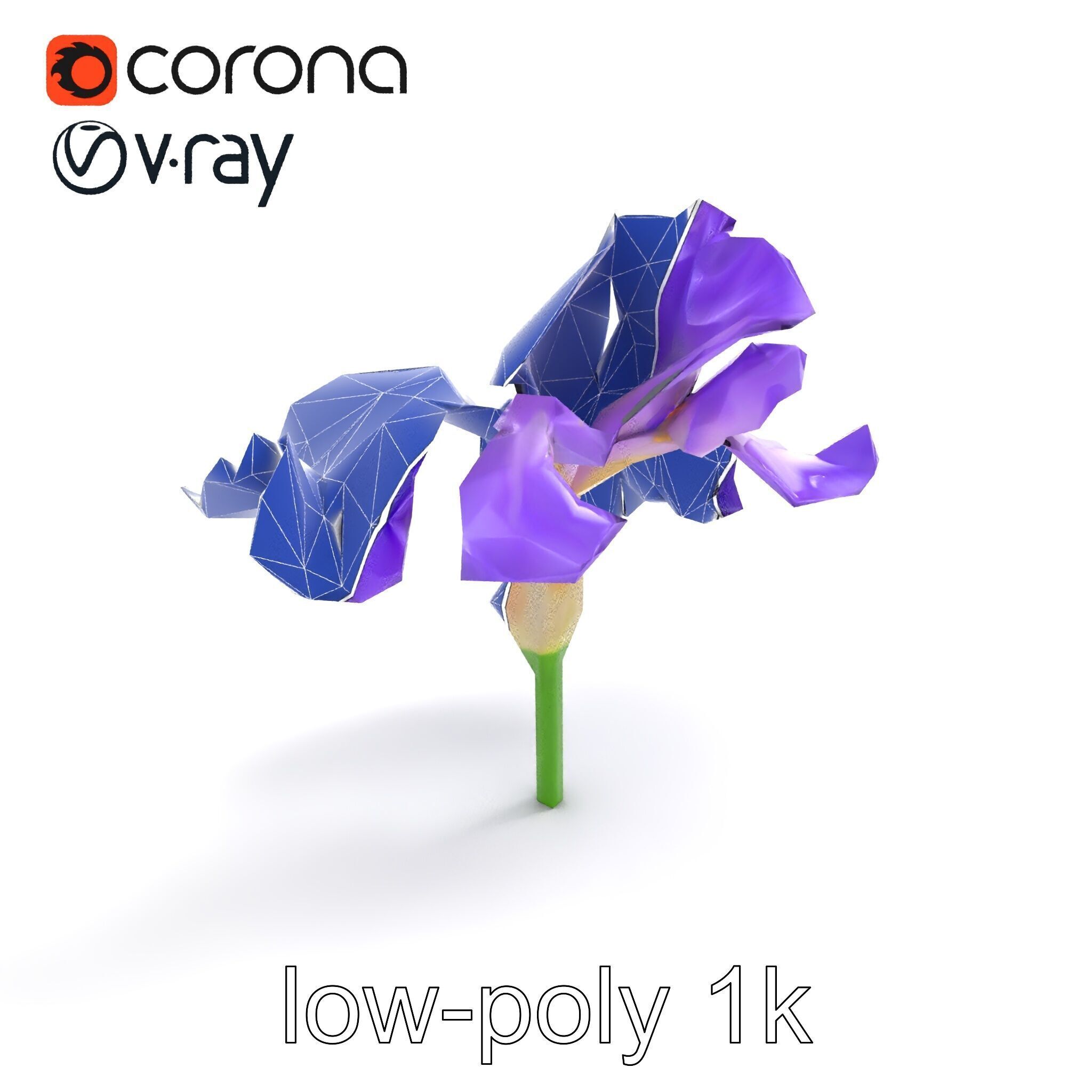 Purple Iris Flower Realistic 3D model pack Low-poly 3D model_16