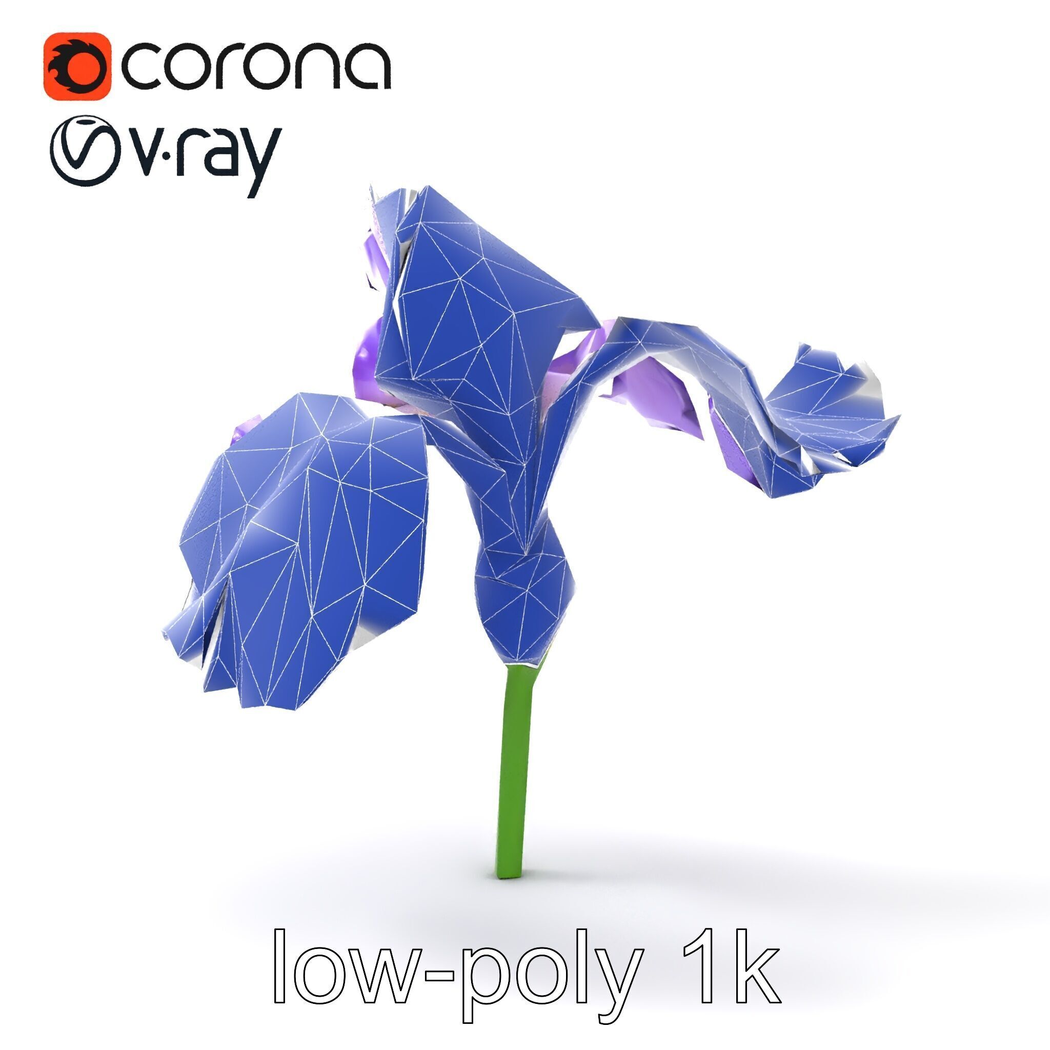 Purple Iris Flower Realistic 3D model pack Low-poly 3D model_28