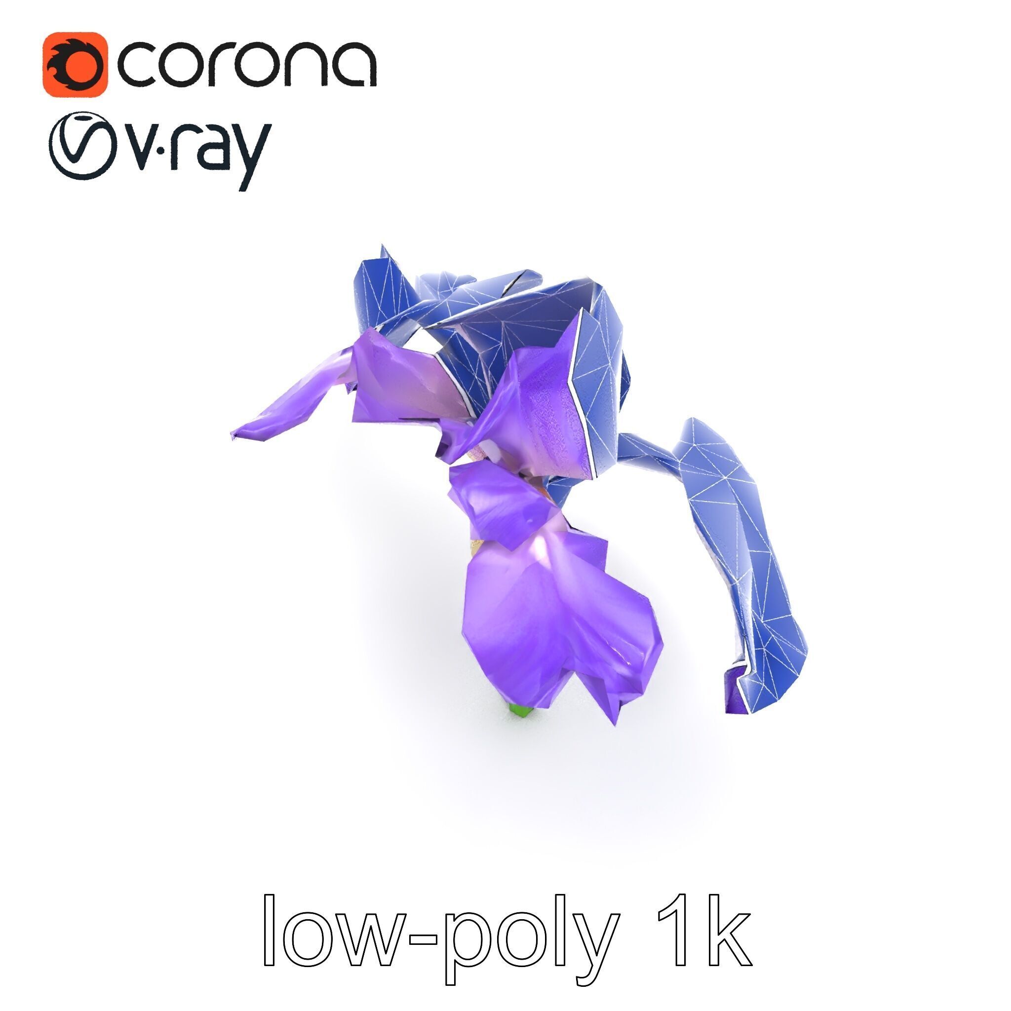 Purple Iris Flower Realistic 3D model pack Low-poly 3D model_23