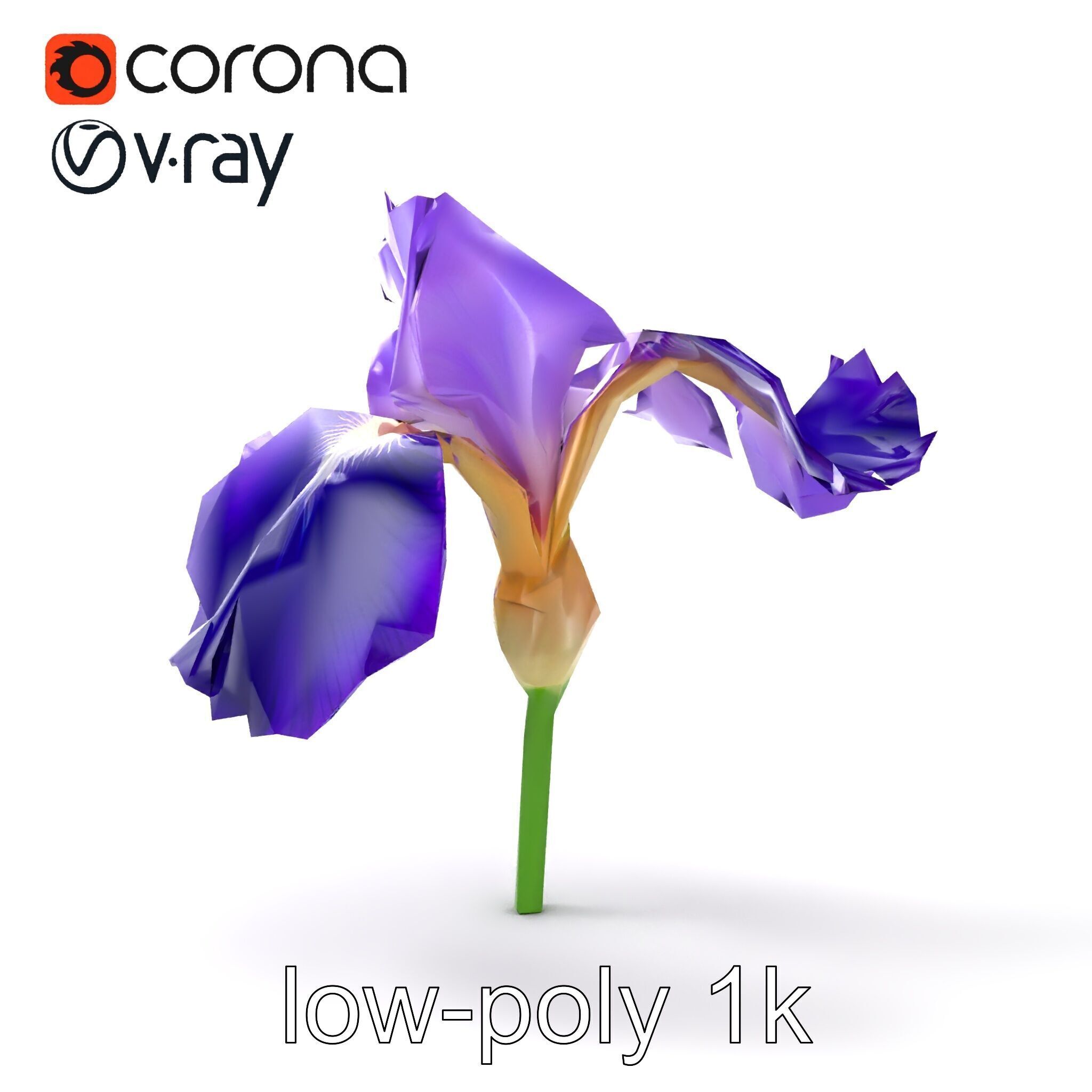 Purple Iris Flower Realistic 3D model pack Low-poly 3D model_17