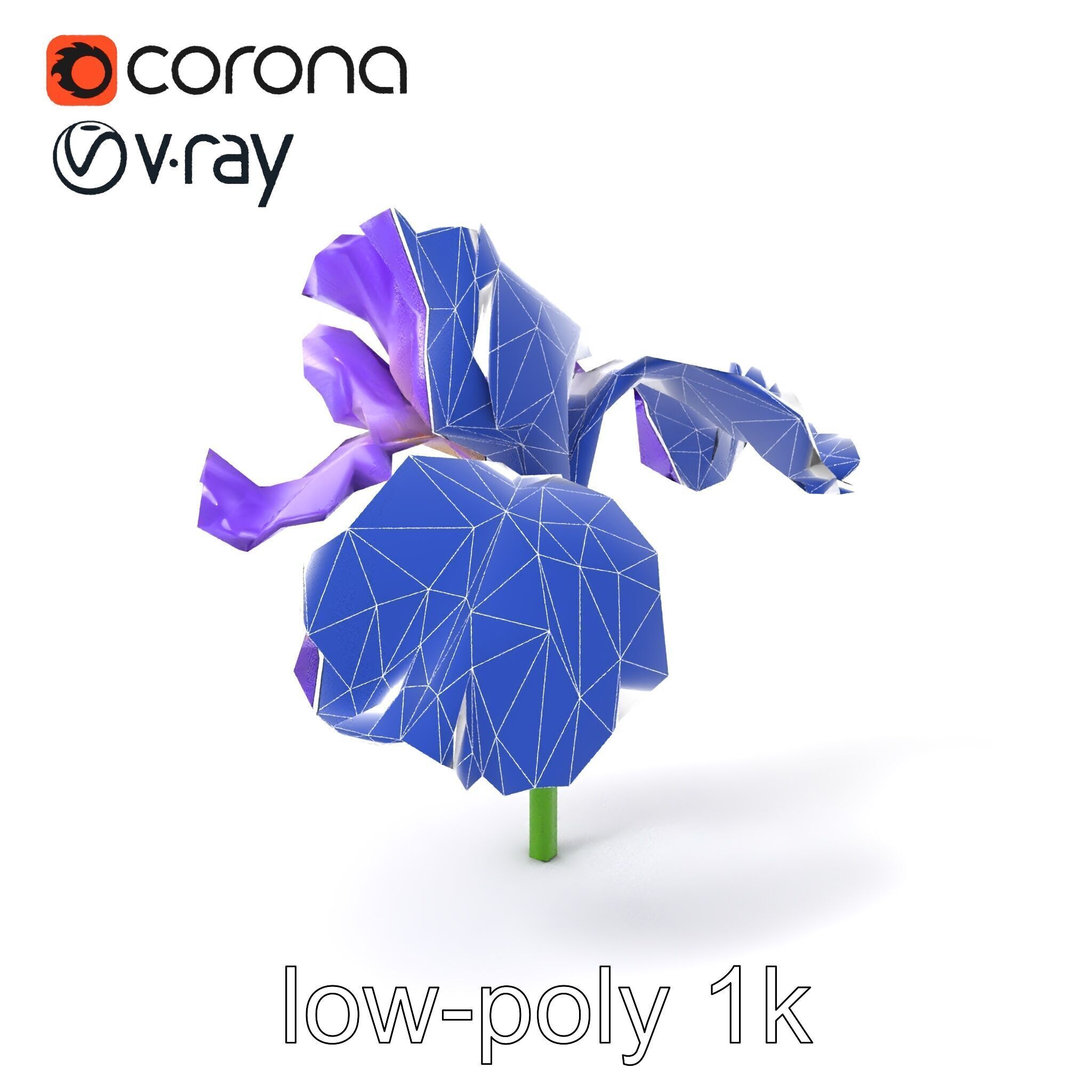 Purple Iris Flower Realistic 3D model pack Low-poly 3D model_6