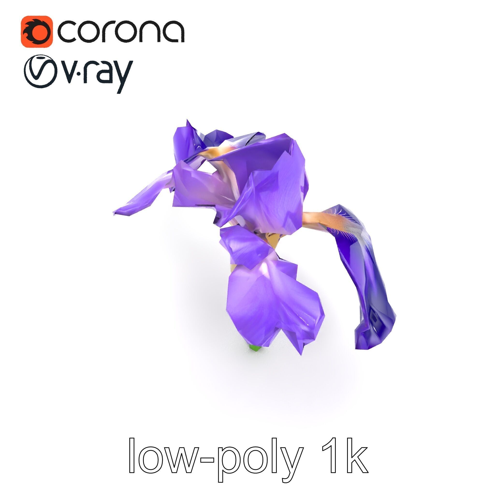 Purple Iris Flower Realistic 3D model pack Low-poly 3D model_13
