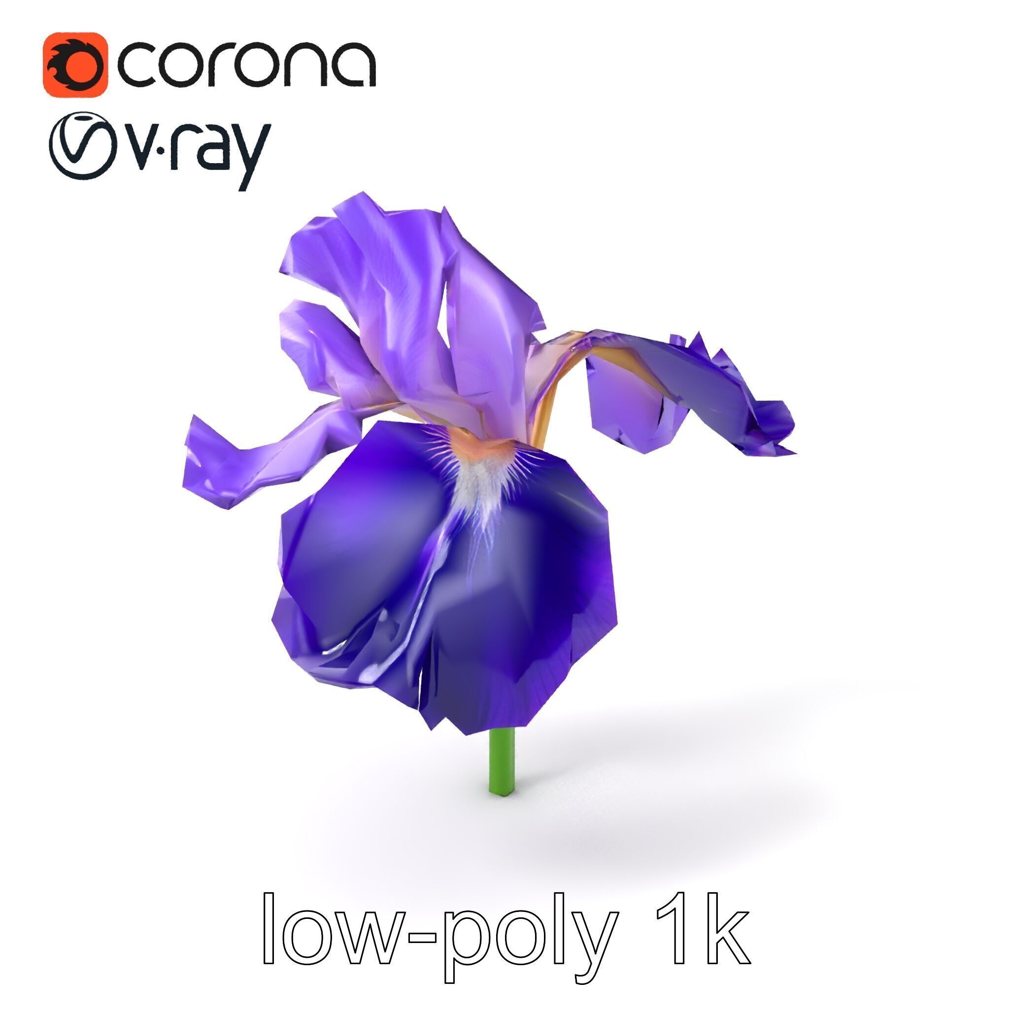 Purple Iris Flower Realistic 3D model pack Low-poly 3D model_4