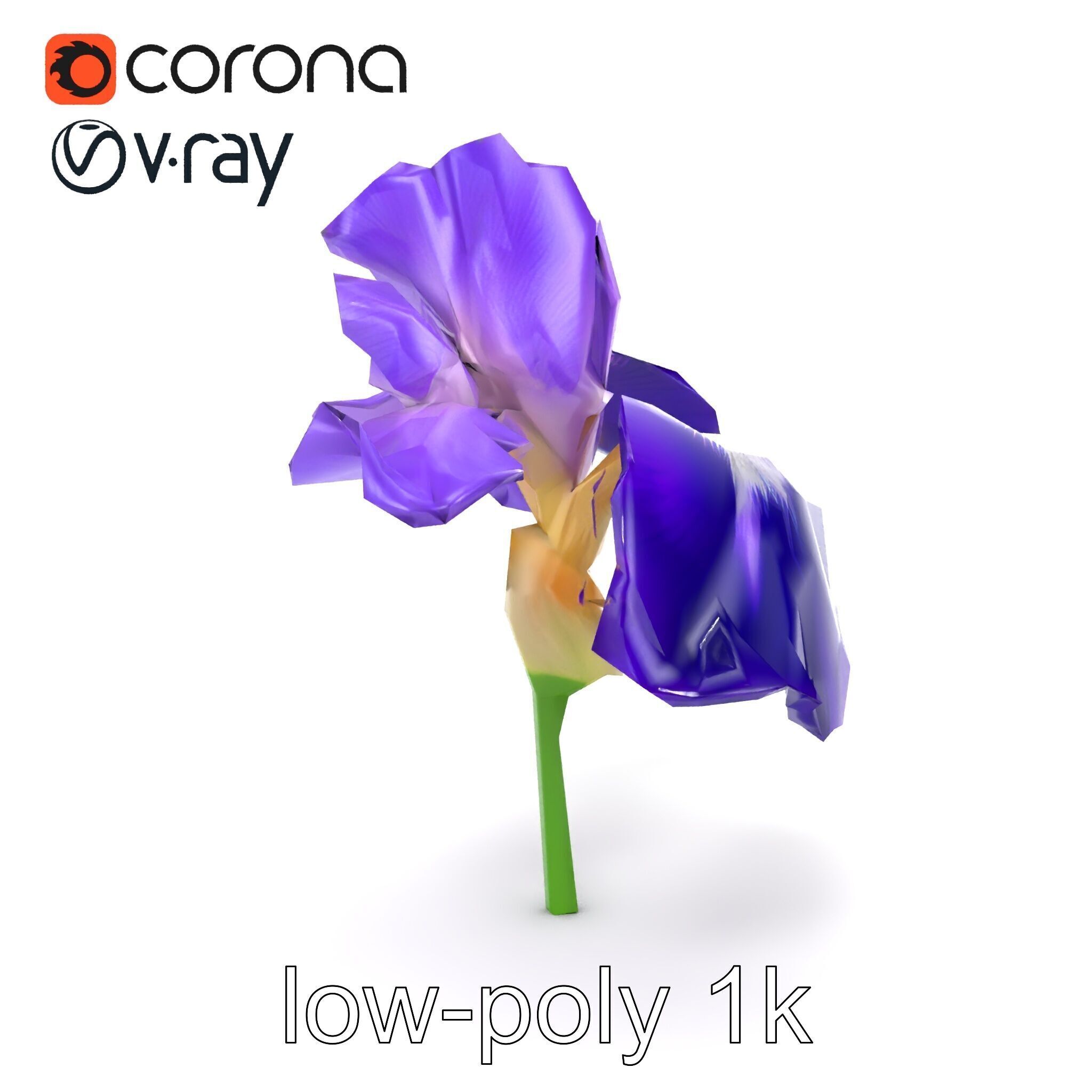 Purple Iris Flower Realistic 3D model pack Low-poly 3D model_21