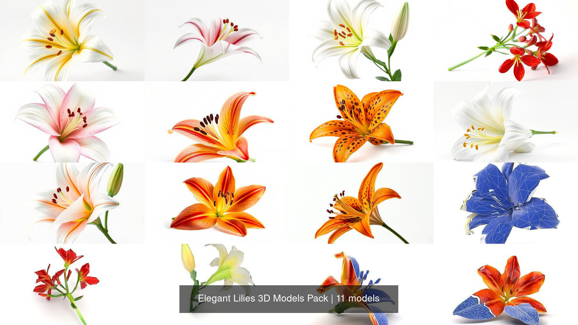 Elegant Lilies 3D Models Pack 3D Model Collection_6