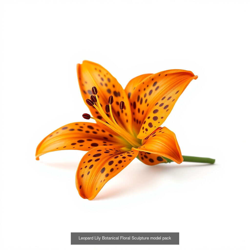 Elegant Lilies 3D Models Pack 3D Model Collection_10