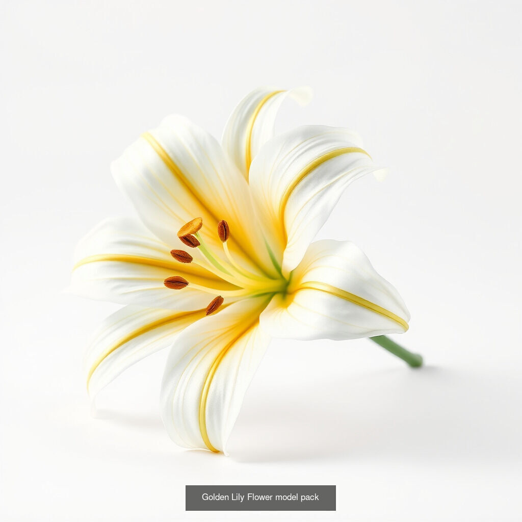 Elegant Lilies 3D Models Pack 3D Model Collection_4