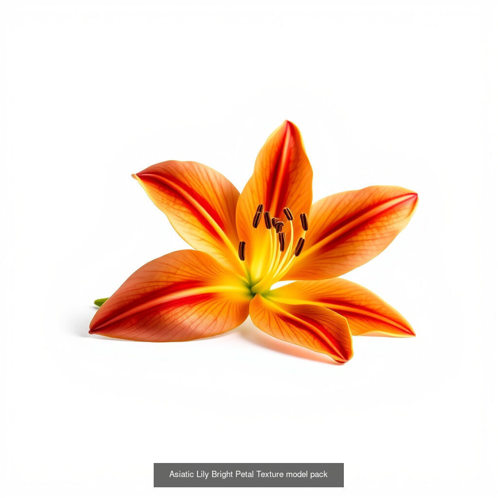 Elegant Lilies 3D Models Pack 3D Model Collection_13