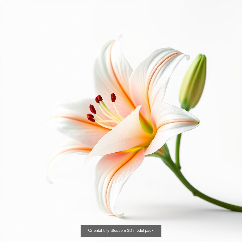 Elegant Lilies 3D Models Pack 3D Model Collection_12