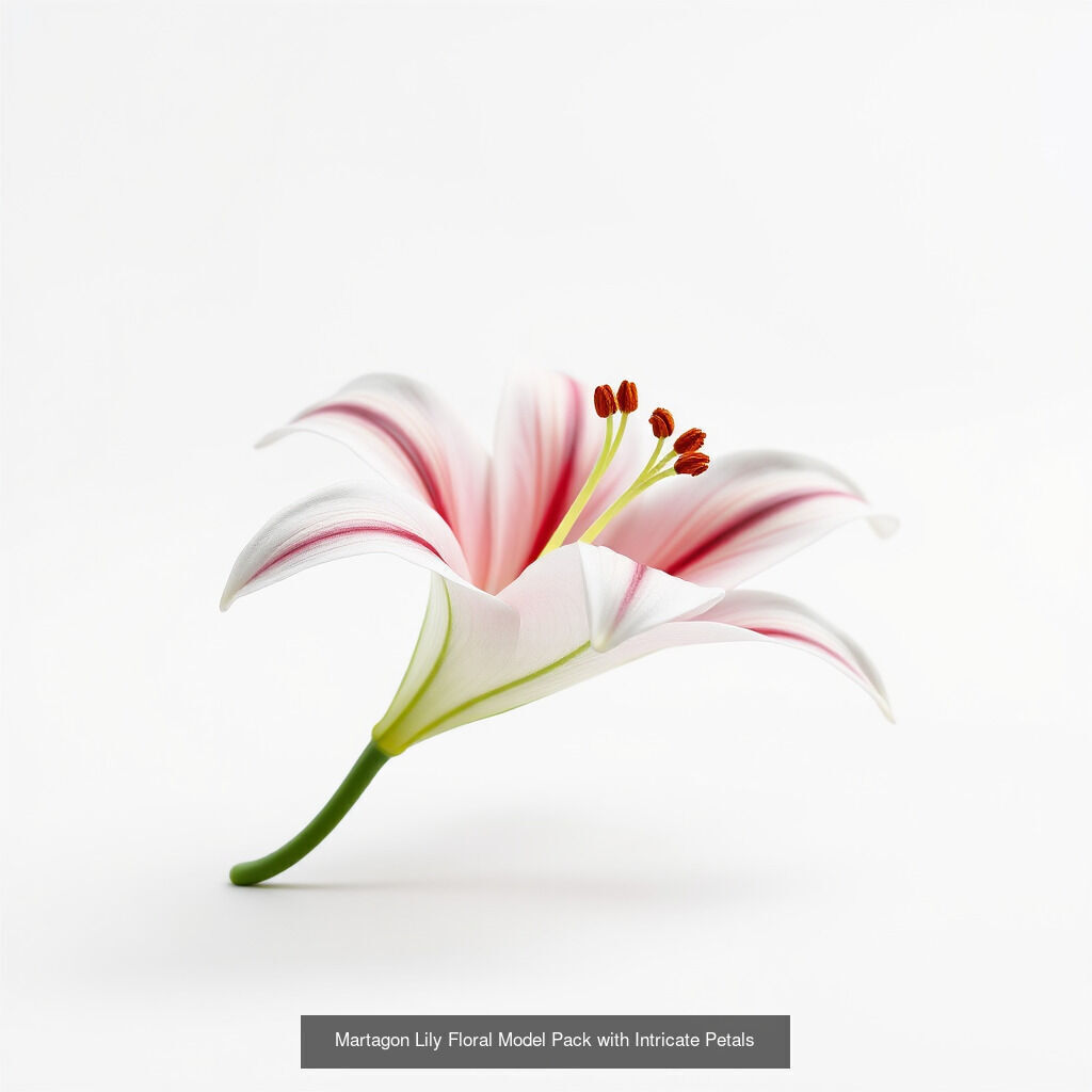 Elegant Lilies 3D Models Pack 3D Model Collection_5