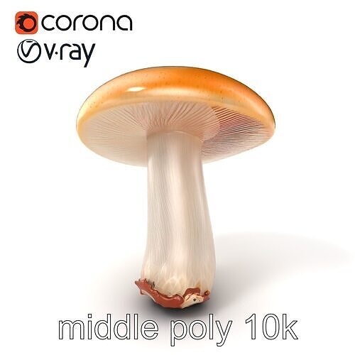 Young Boletus Mushroom Collection model pack Low-poly 3D model