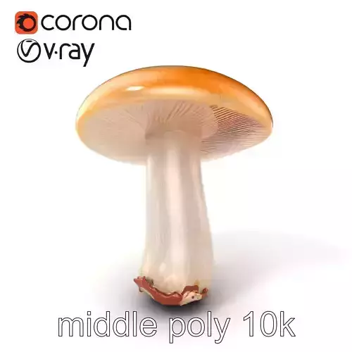 Young Boletus Mushroom Collection model pack