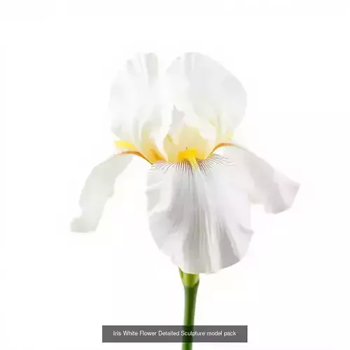 Exquisite Iris 3D Model Collection 