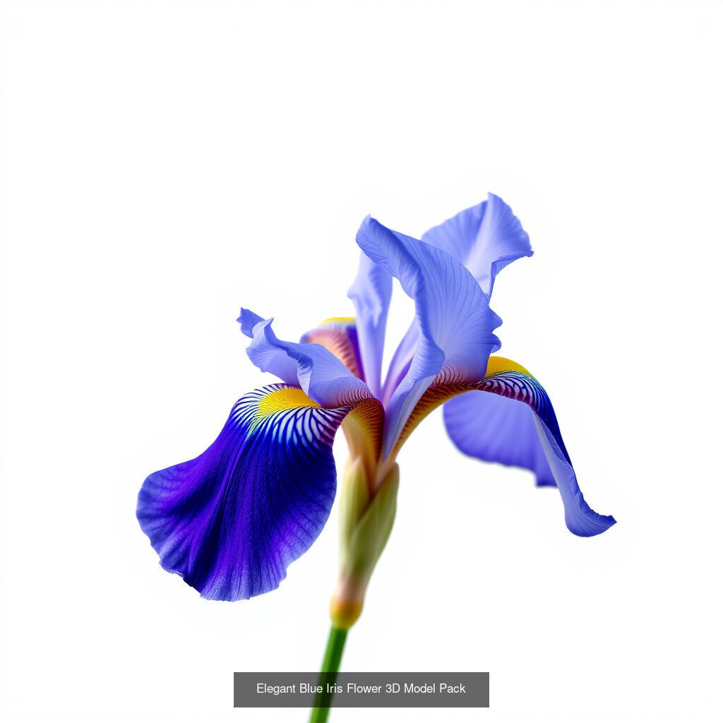 Exquisite Iris 3D Model Collection _11