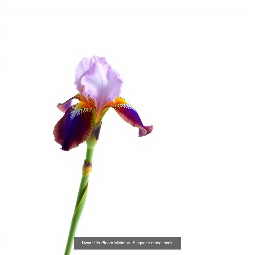 Exquisite Iris 3D Model Collection _12