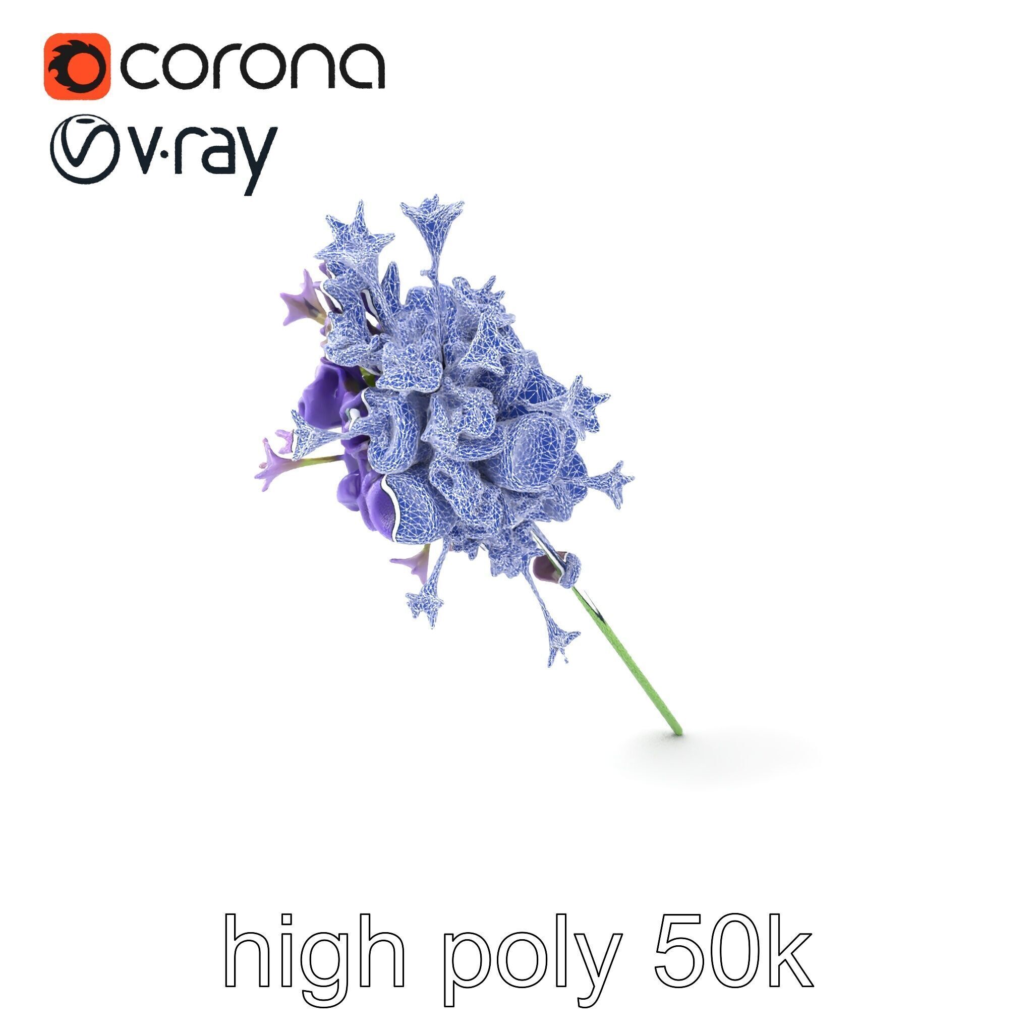 Lavandula Double Layered Petals 3D model pack Low-poly 3D model_10