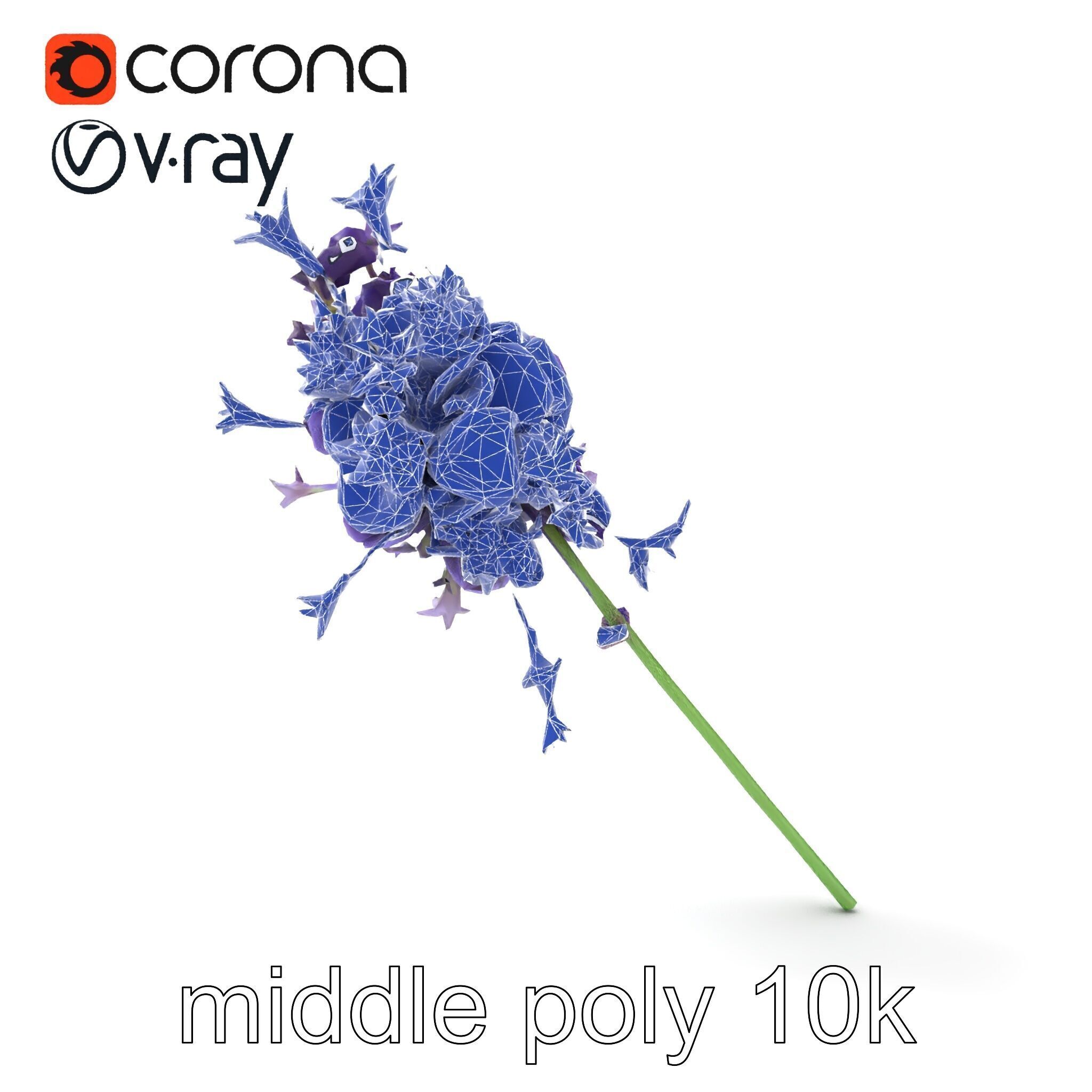 Lavandula Double Layered Petals 3D model pack Low-poly 3D model_29