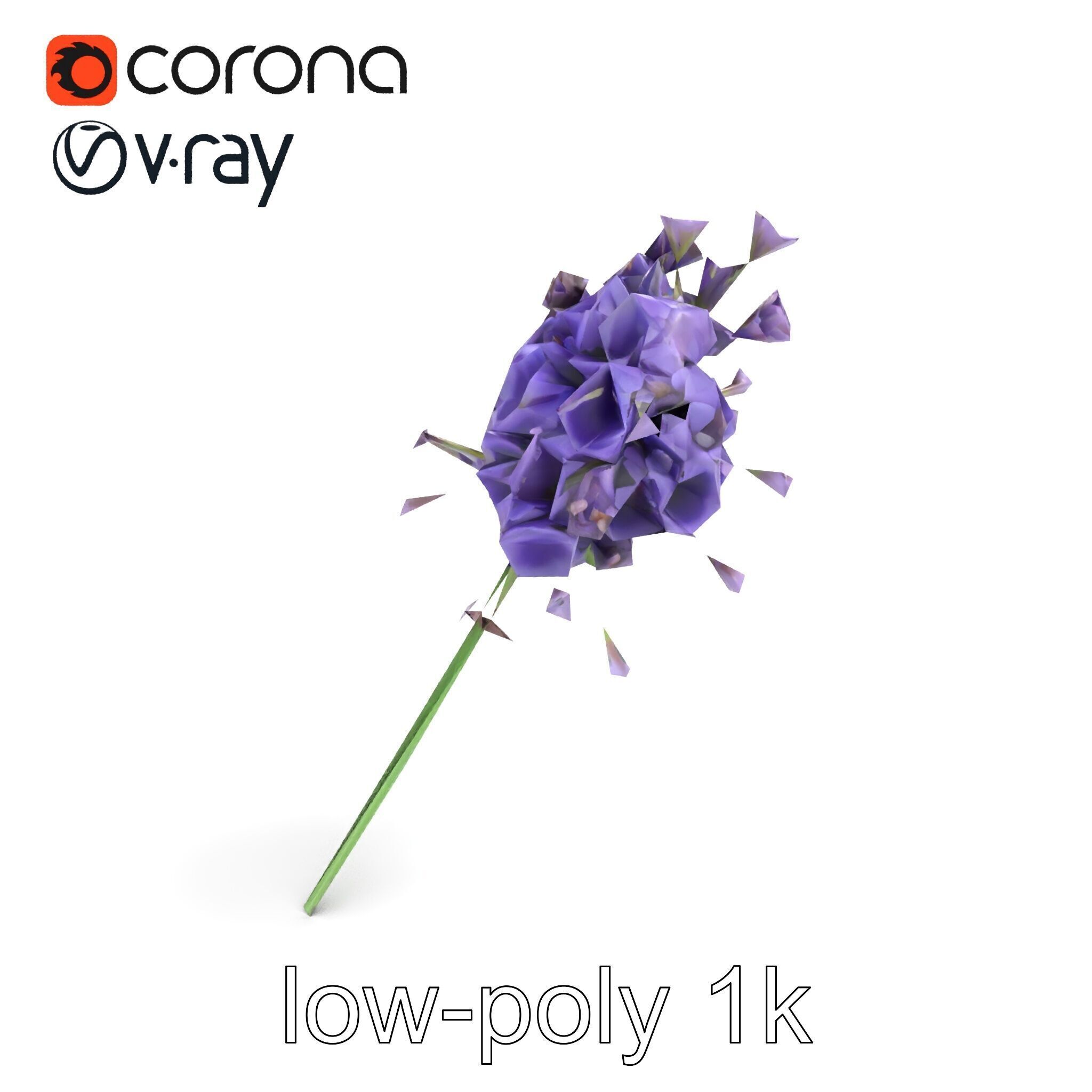 Lavandula Double Layered Petals 3D model pack Low-poly 3D model_9