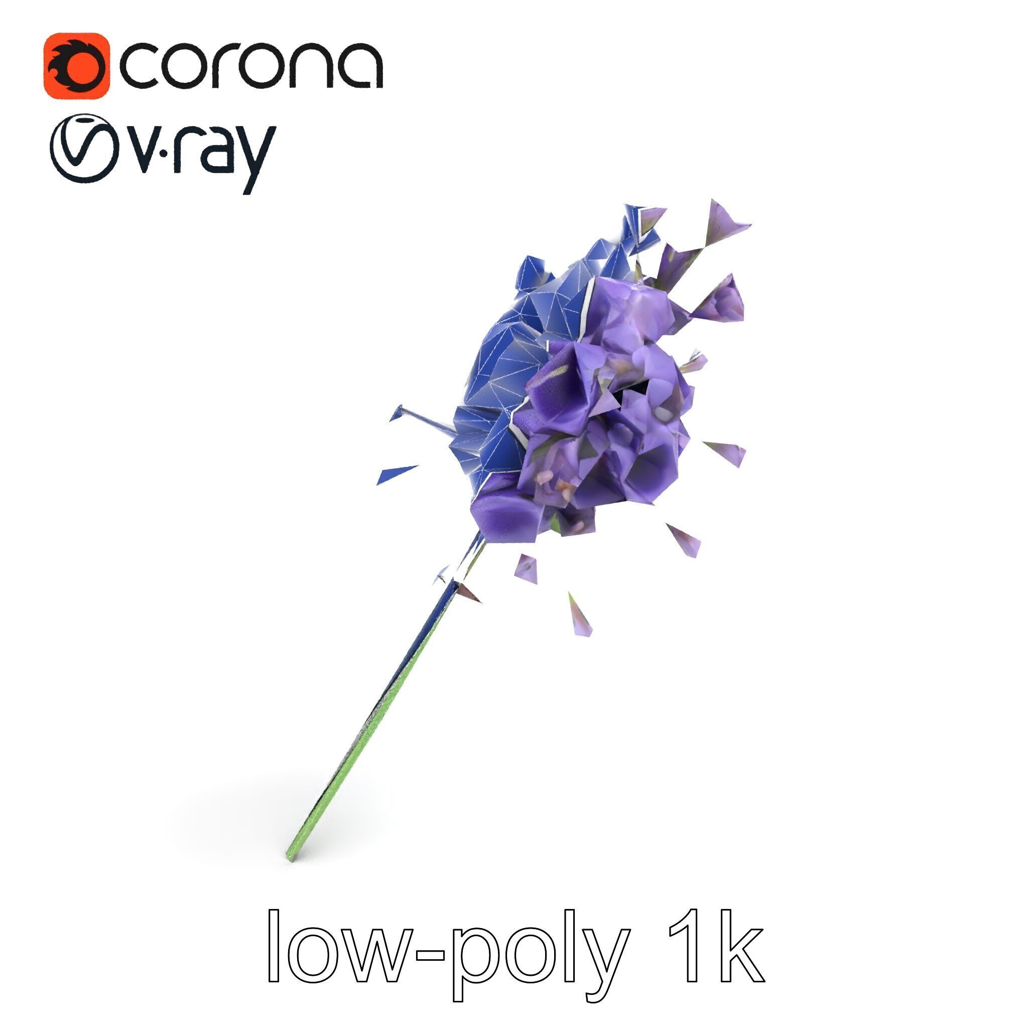 Lavandula Double Layered Petals 3D model pack Low-poly 3D model_28