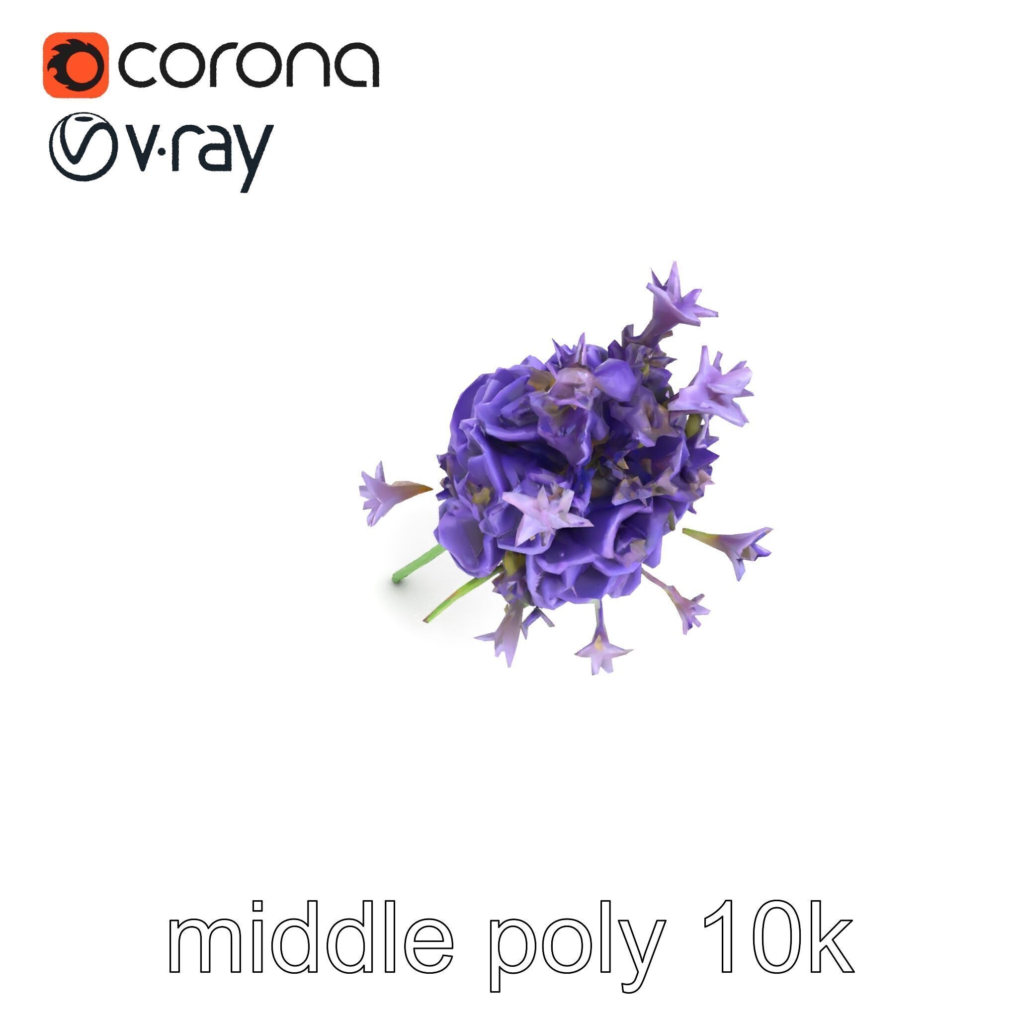 Lavandula Double Layered Petals 3D model pack Low-poly 3D model_25