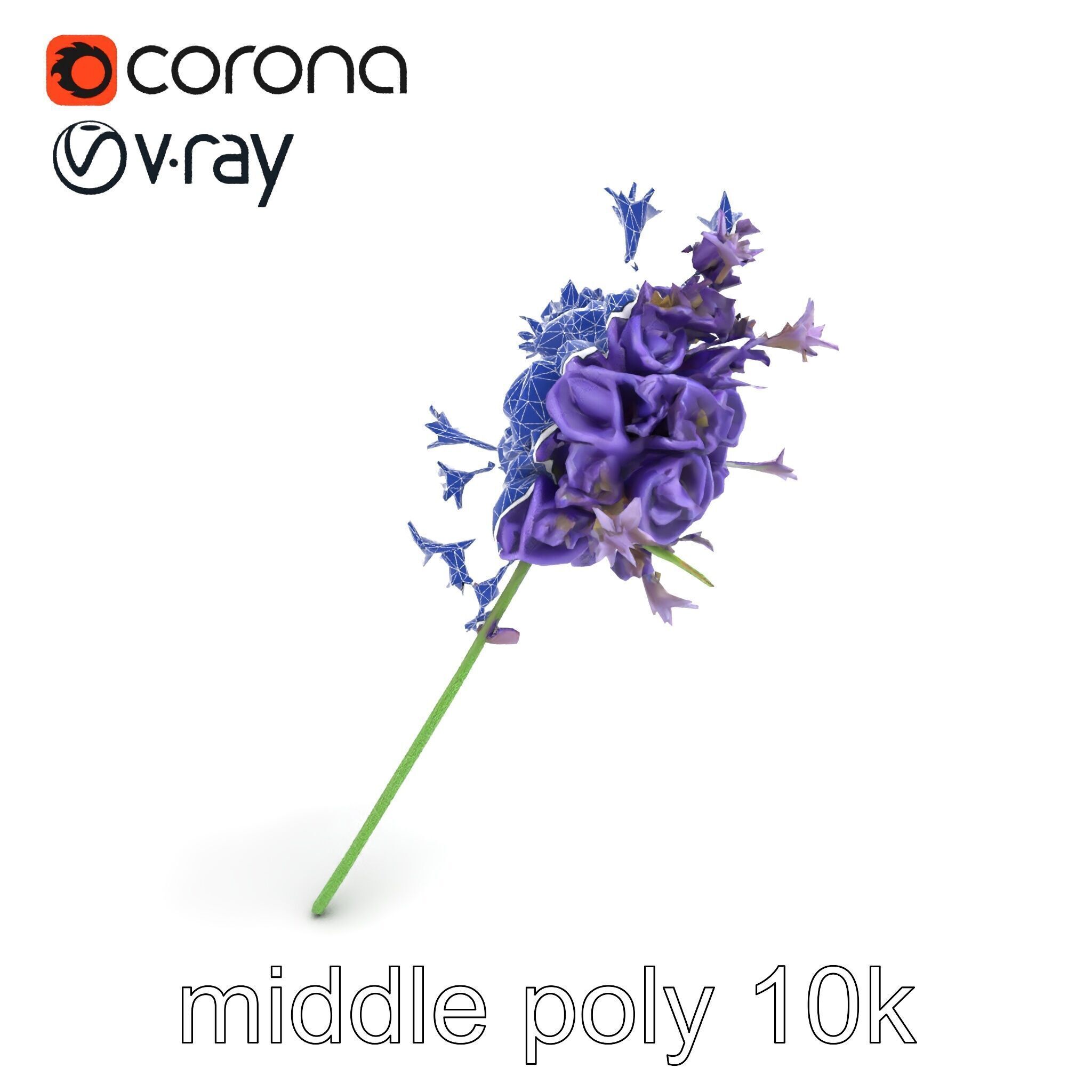 Lavandula Double Layered Petals 3D model pack Low-poly 3D model_19