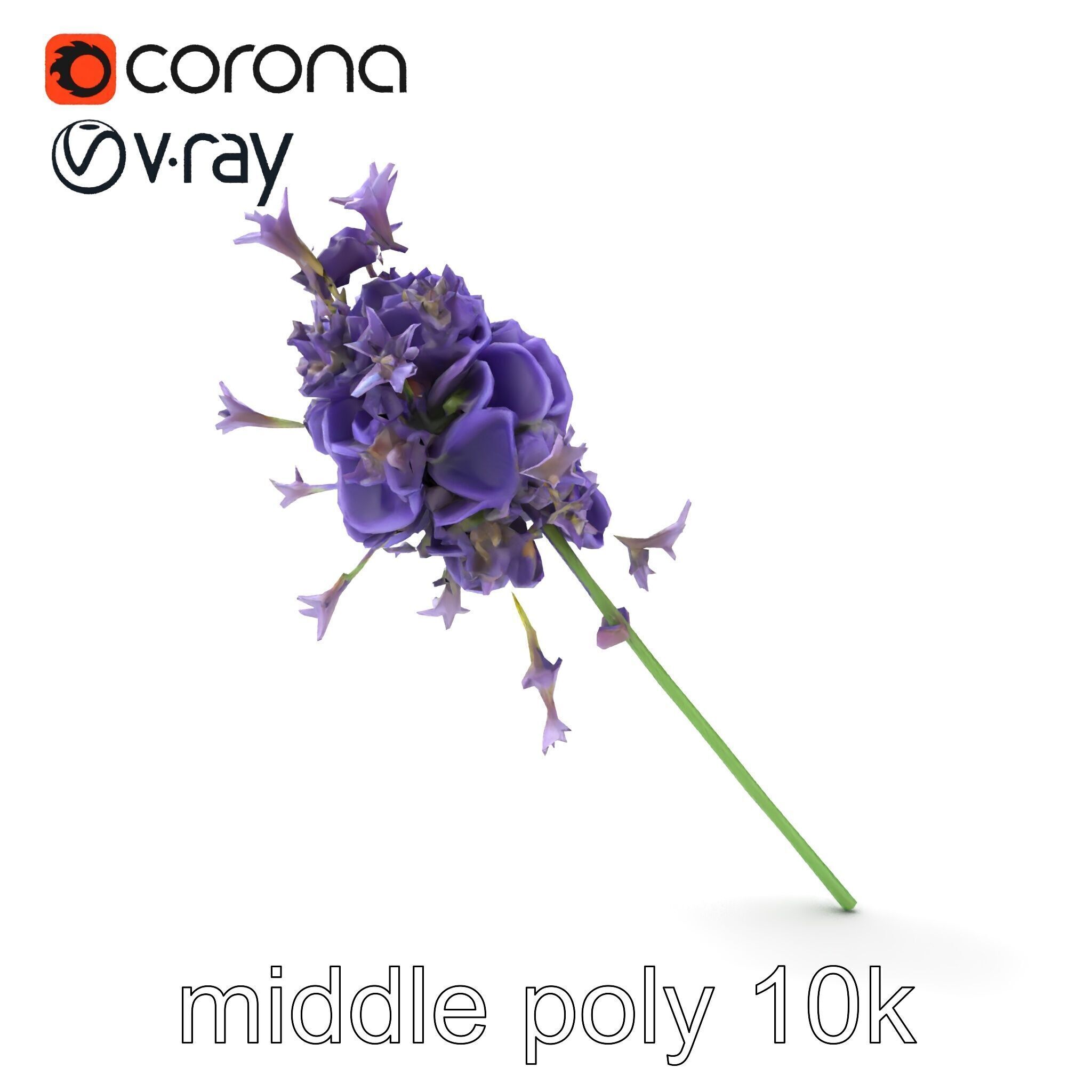 Lavandula Double Layered Petals 3D model pack Low-poly 3D model_26