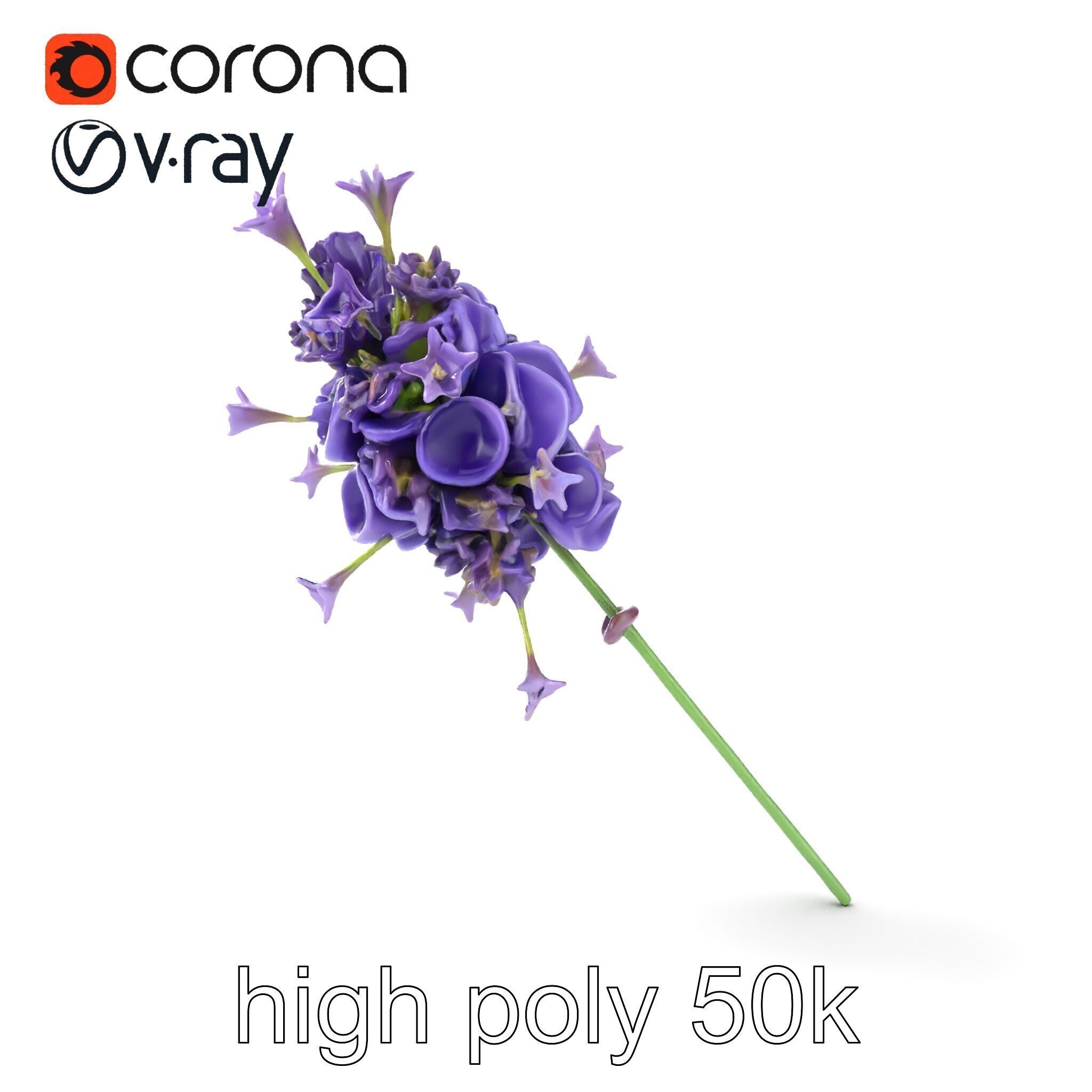 Lavandula Double Layered Petals 3D model pack Low-poly 3D model_23