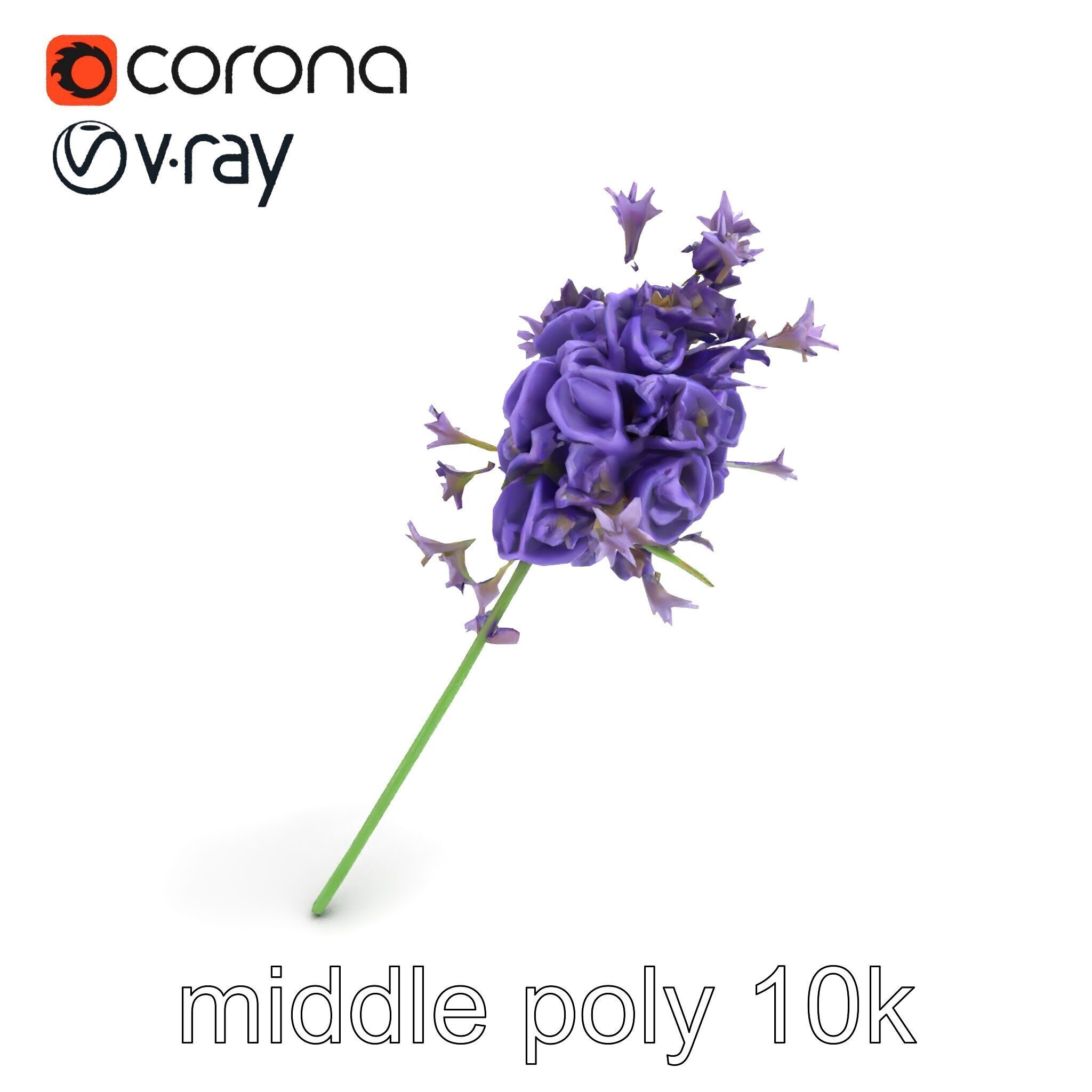 Lavandula Double Layered Petals 3D model pack Low-poly 3D model_8