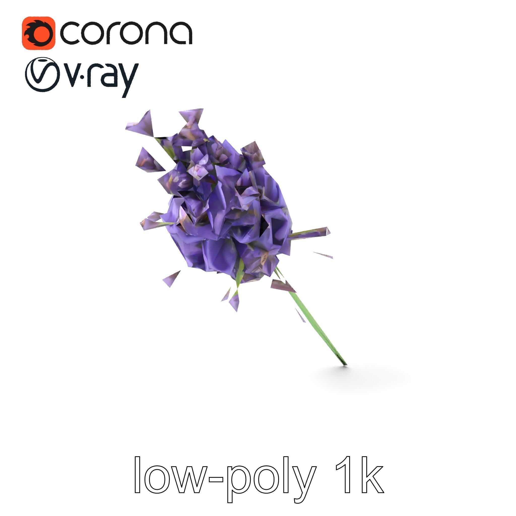 Lavandula Double Layered Petals 3D model pack Low-poly 3D model_5