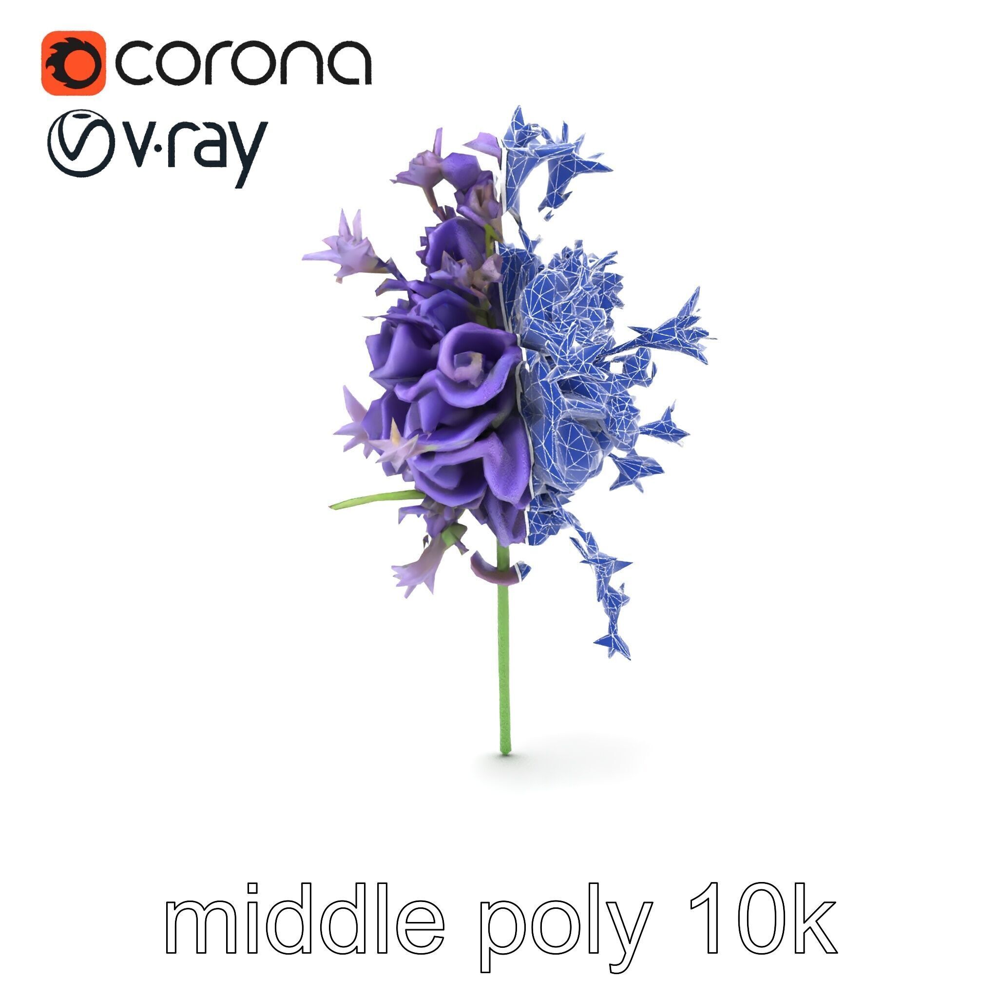 Lavandula Double Layered Petals 3D model pack Low-poly 3D model_18
