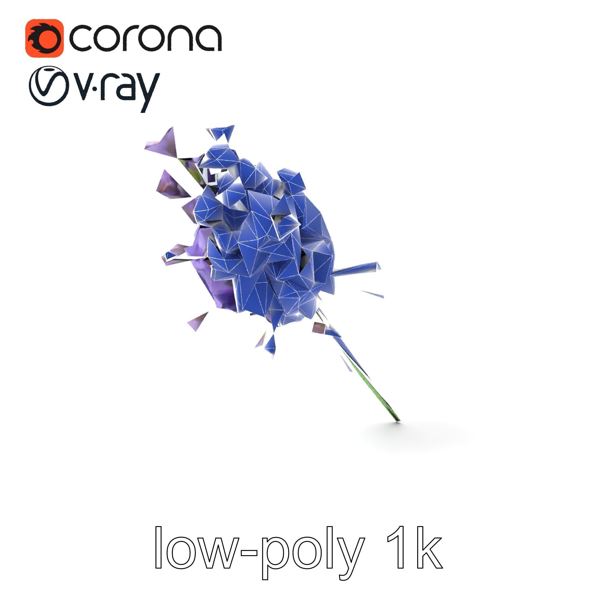 Lavandula Double Layered Petals 3D model pack Low-poly 3D model_7