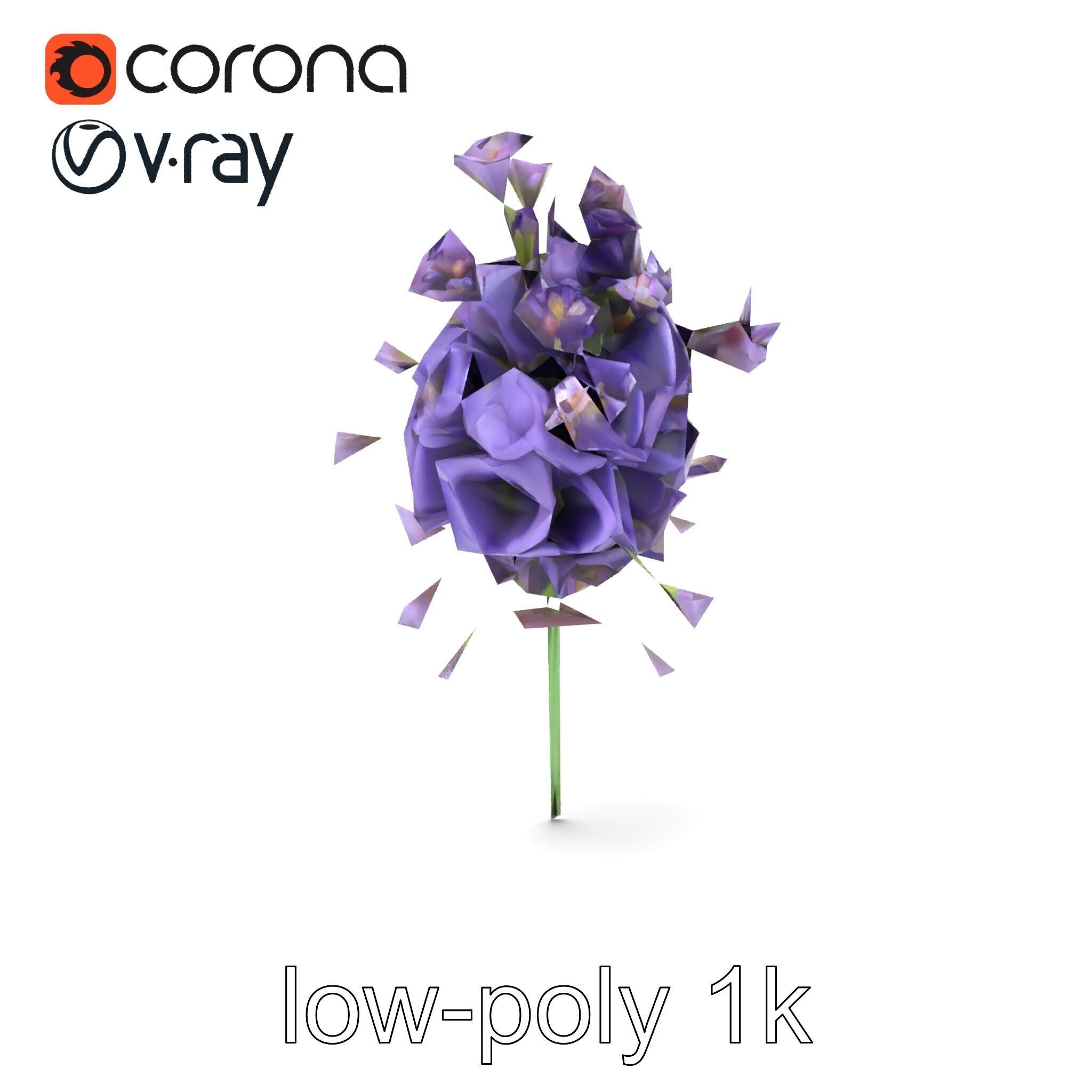Lavandula Double Layered Petals 3D model pack Low-poly 3D model_22