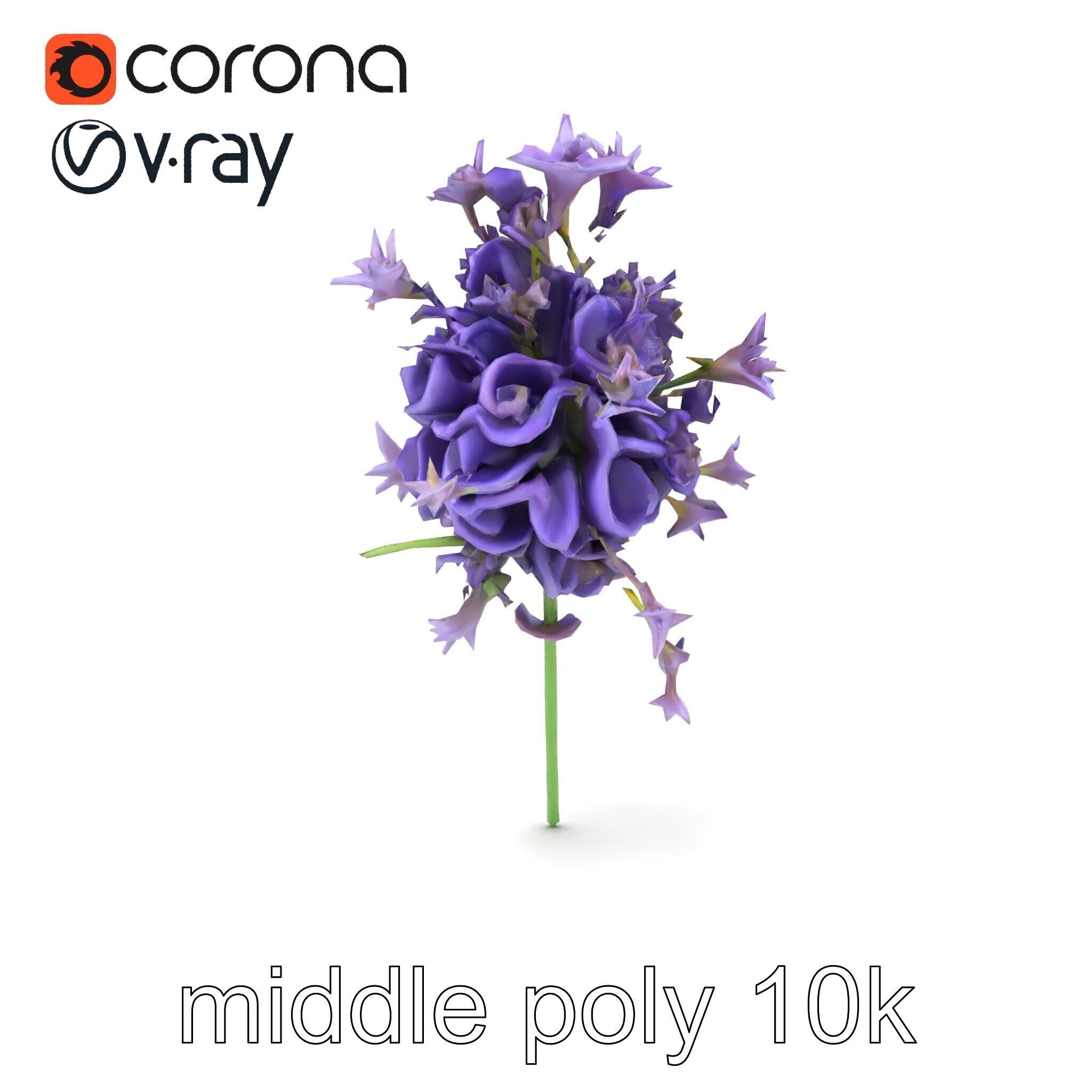 Lavandula Double Layered Petals 3D model pack Low-poly 3D model_12