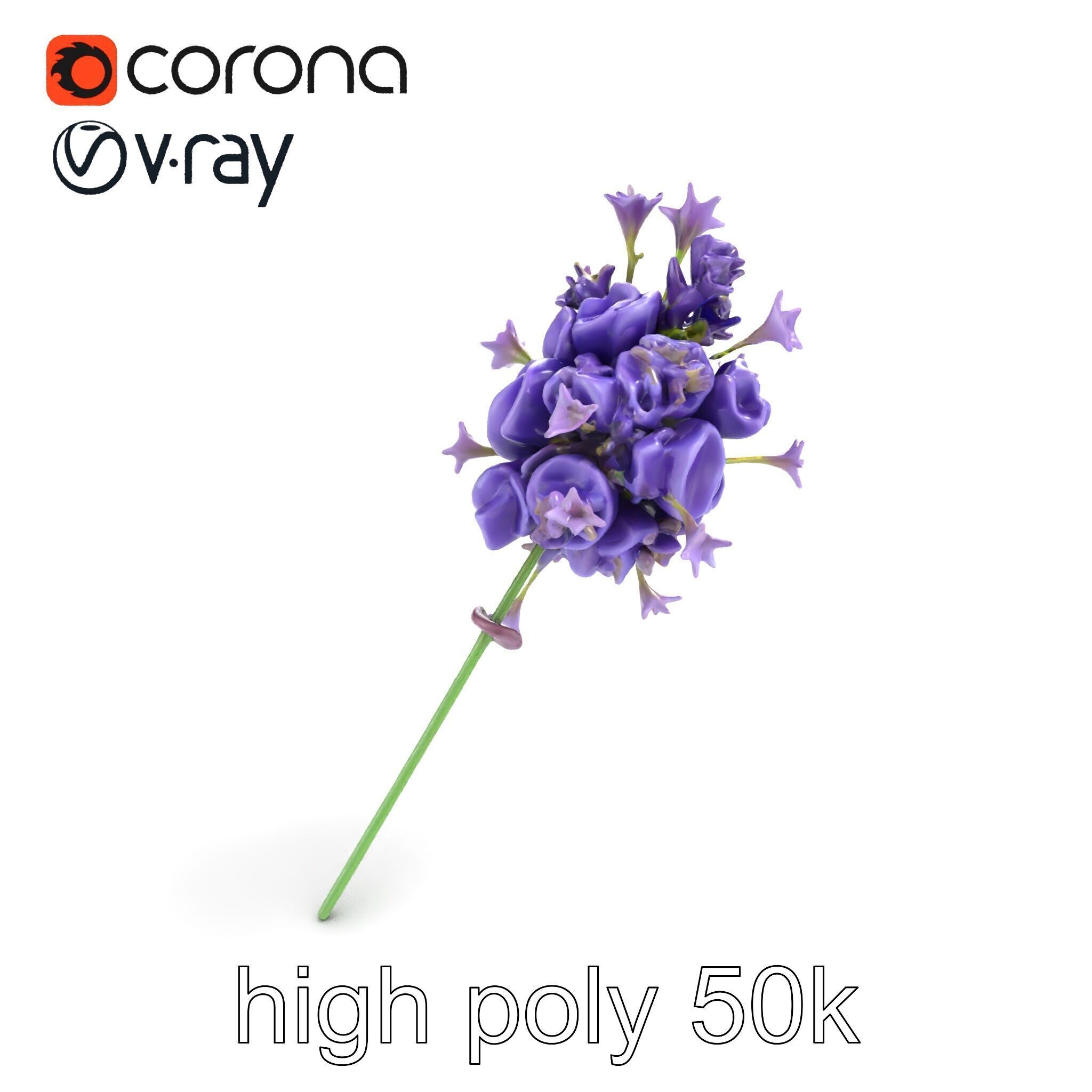 Lavandula Double Layered Petals 3D model pack Low-poly 3D model_24