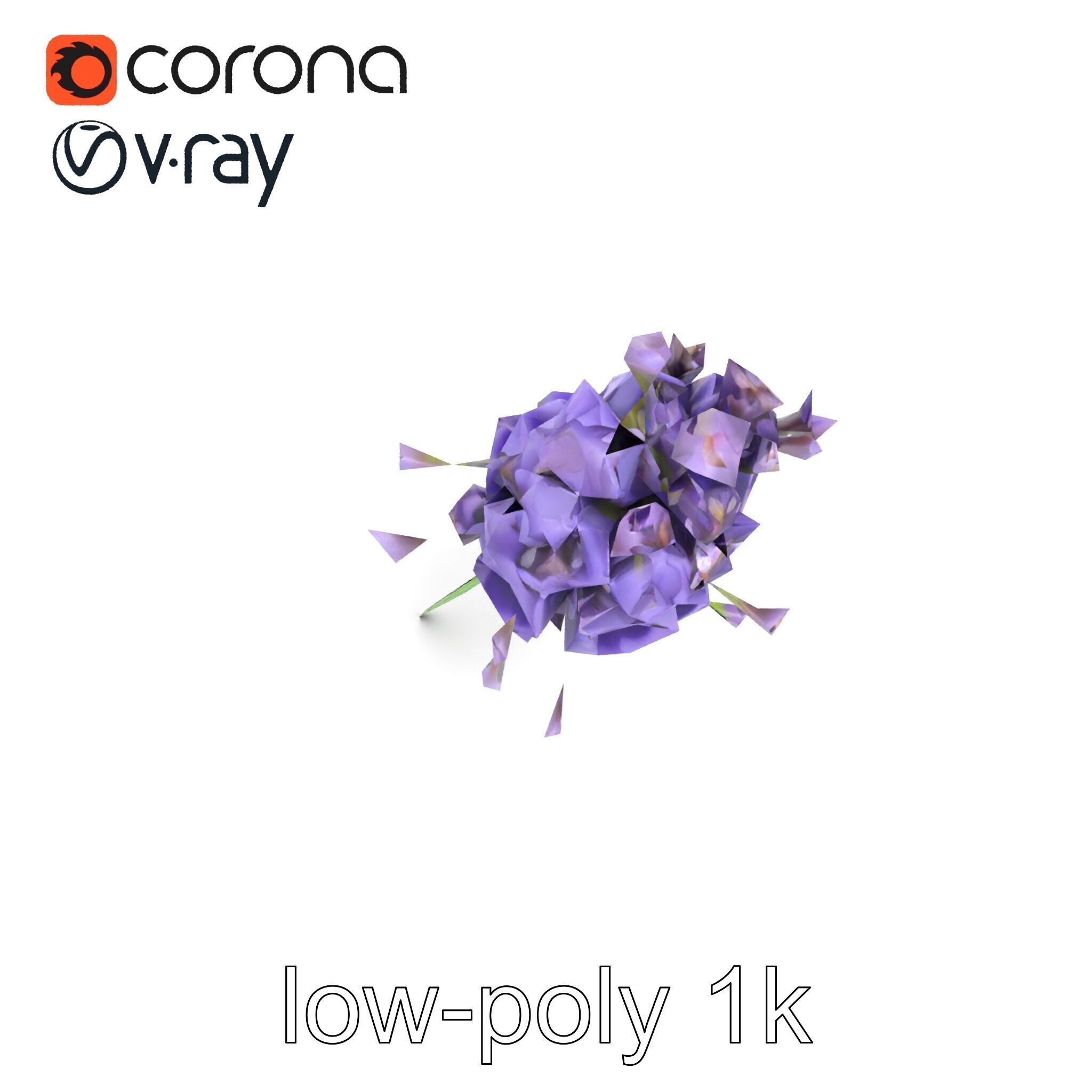 Lavandula Double Layered Petals 3D model pack Low-poly 3D model_16