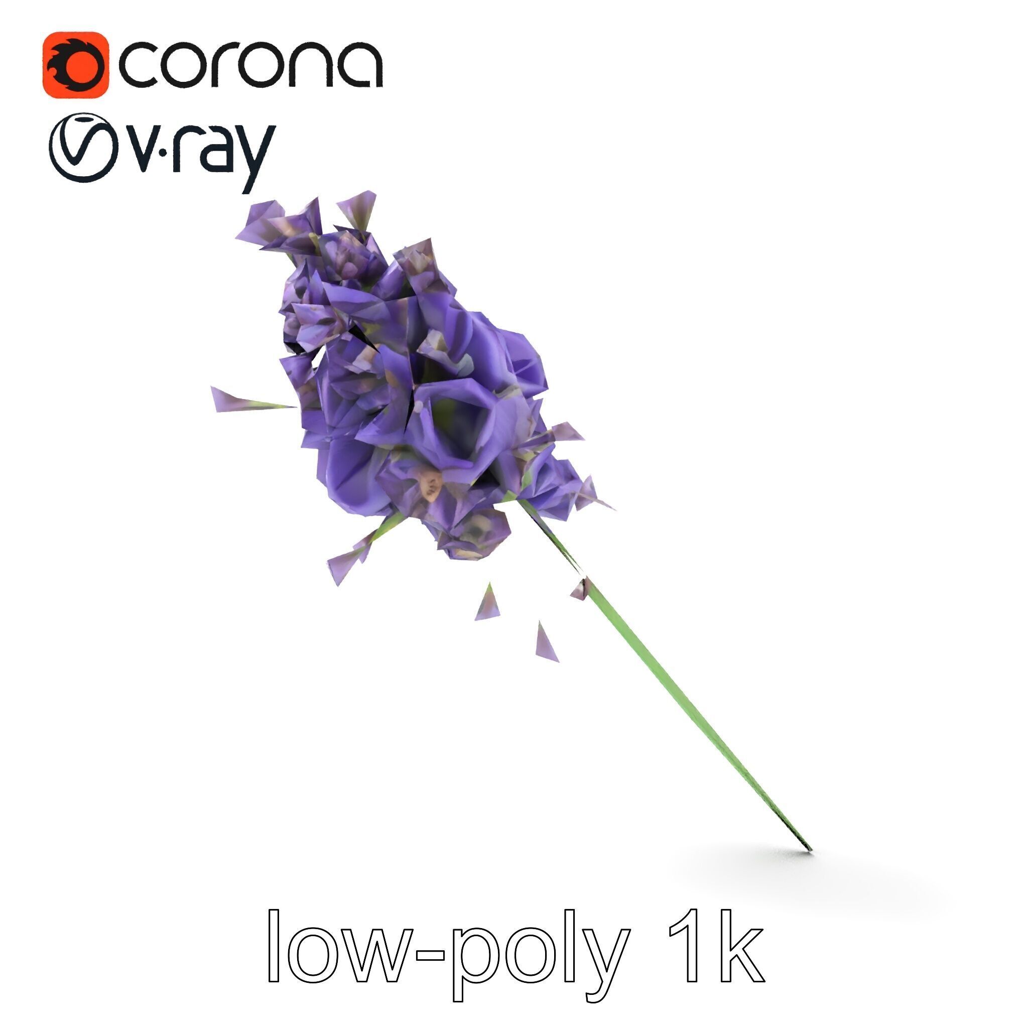 Lavandula Double Layered Petals 3D model pack Low-poly 3D model_20