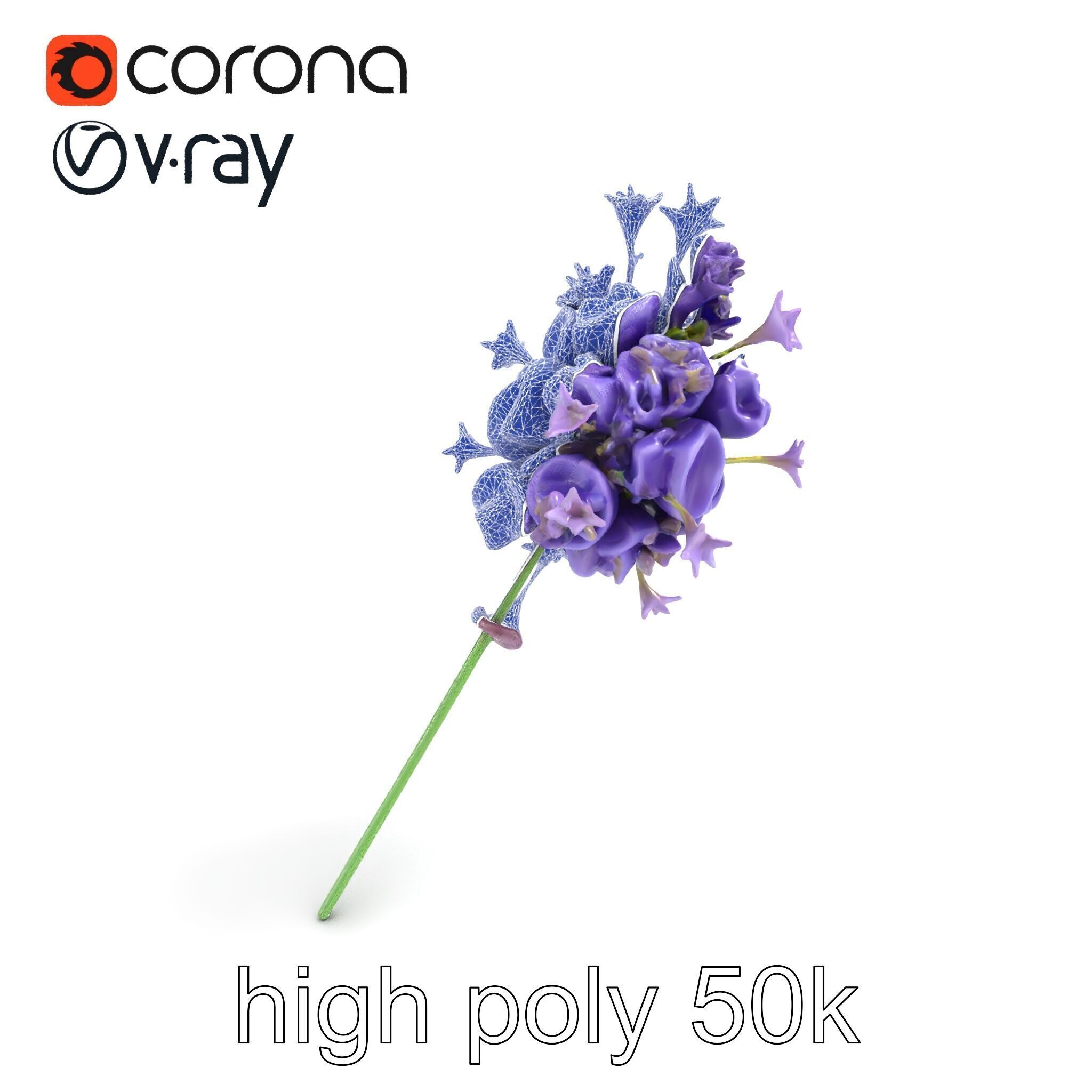 Lavandula Double Layered Petals 3D model pack Low-poly 3D model_32